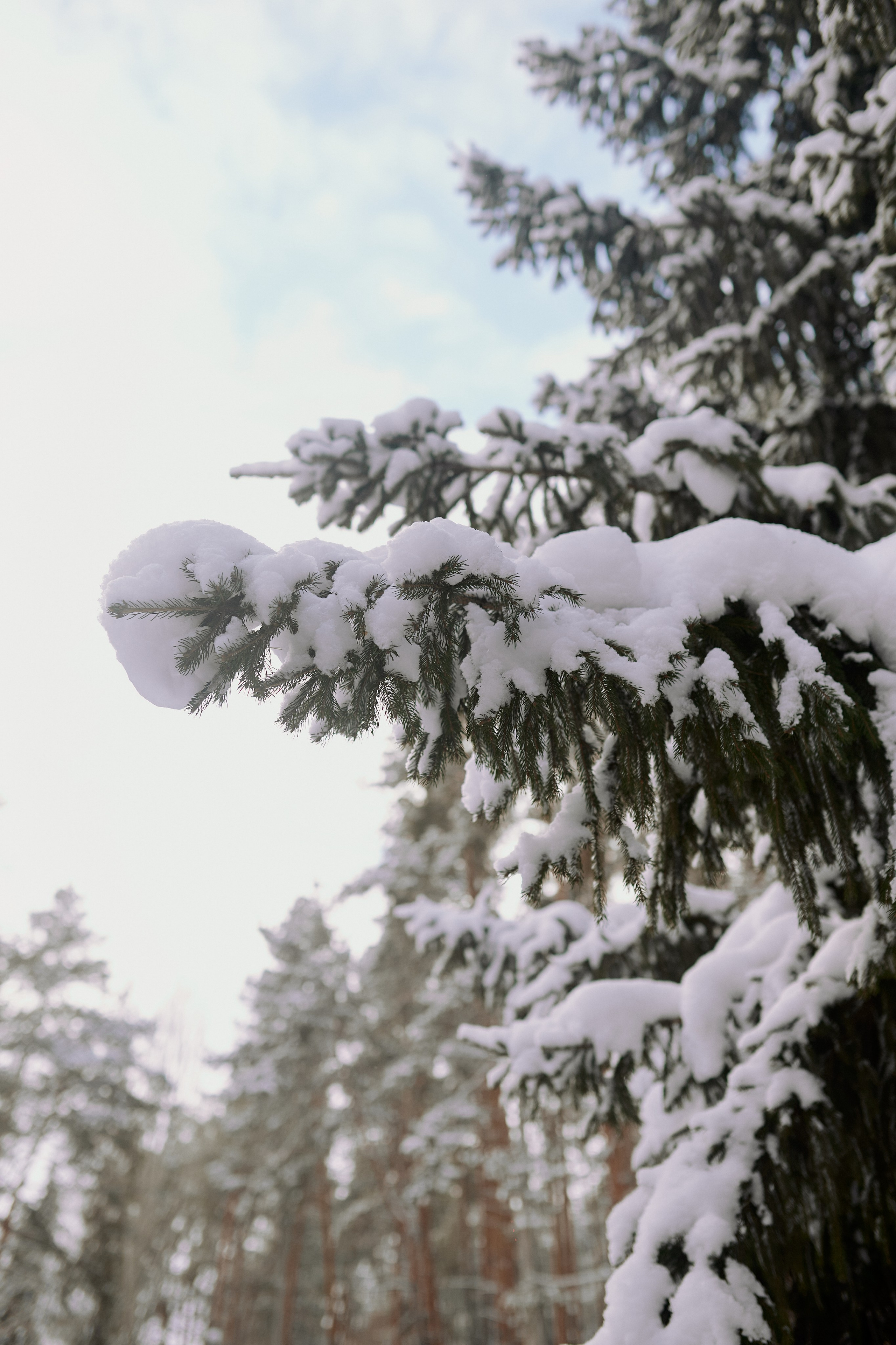Паша, Света и Марк на зимней прогулке. Семейный и свадебный lifestyle-фотограф в Москве Мария Петрова