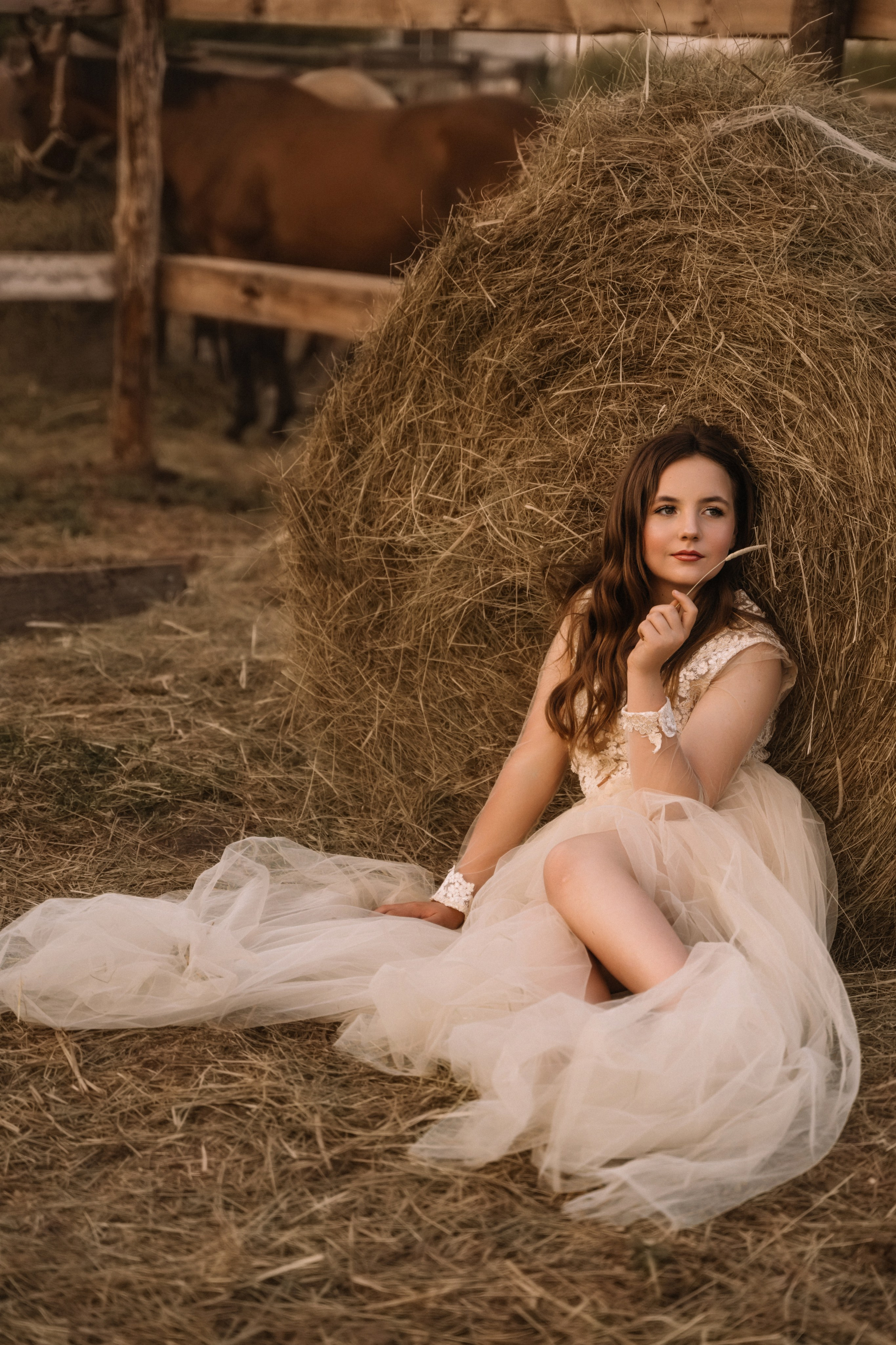 Евгения. Фотосессия с лошадьми. Семейный фотограф в Белгороде Амелина Алина