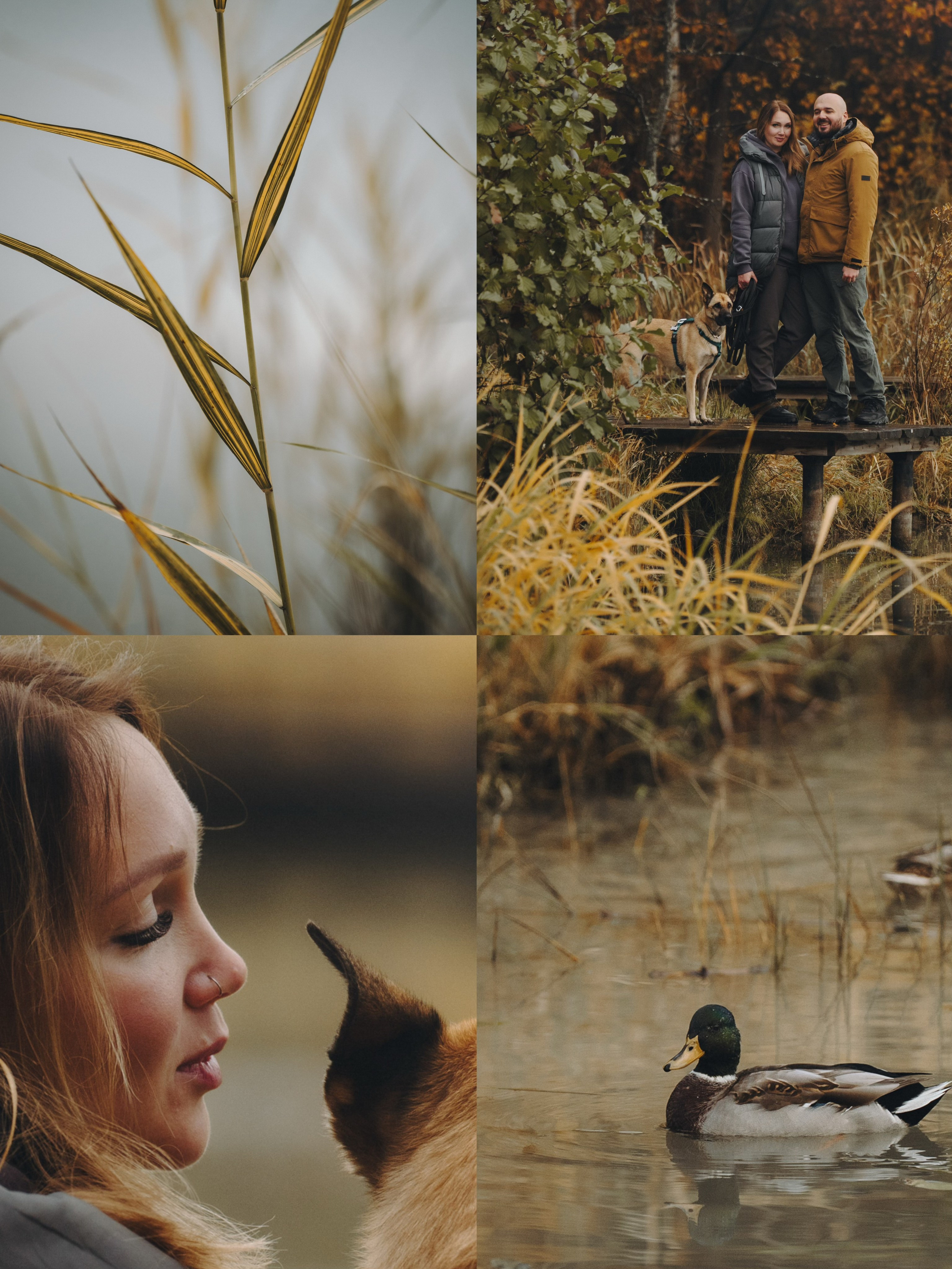 Наталия, Иван и Урса. Фотограф анималист в Москве и Санкт-Петербурге Свиридова Анна