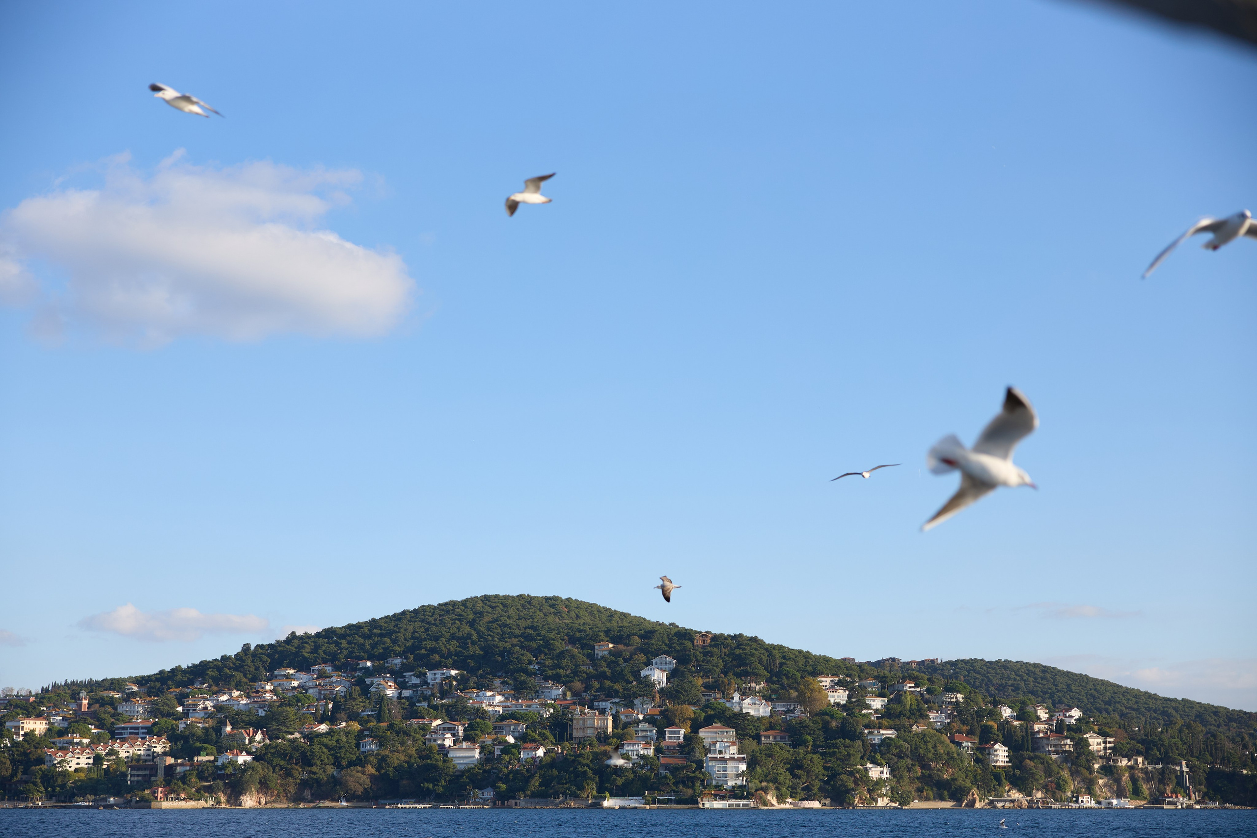 Стамбул 24. Фотограф Москва, Дима Пеллер