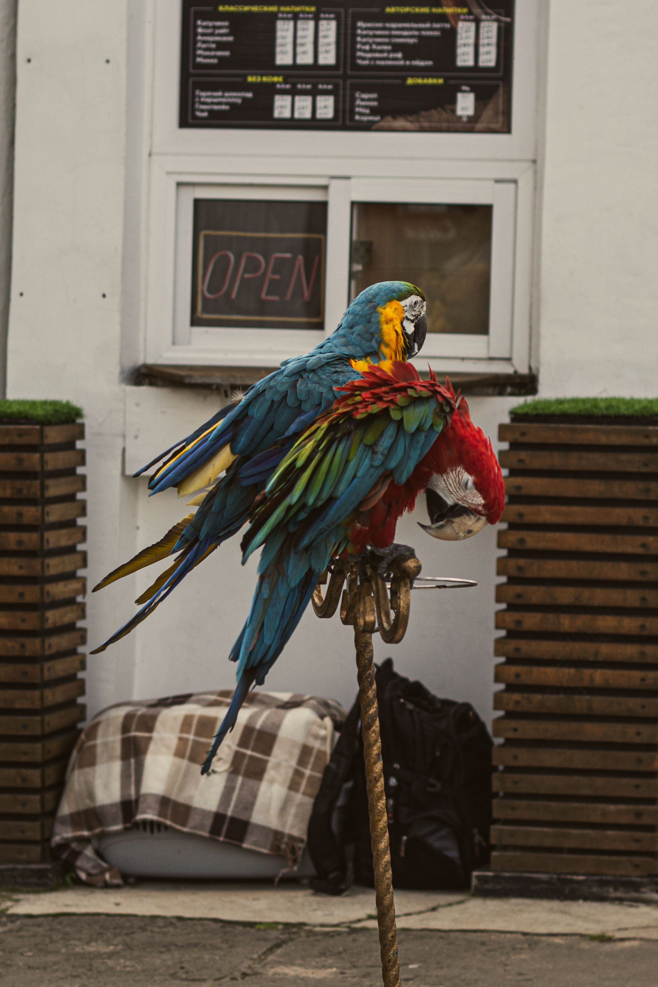 Фото в Старице и Твери. Фотограф Москва, портрет, стрит, репортаж. Художественная фотосессия