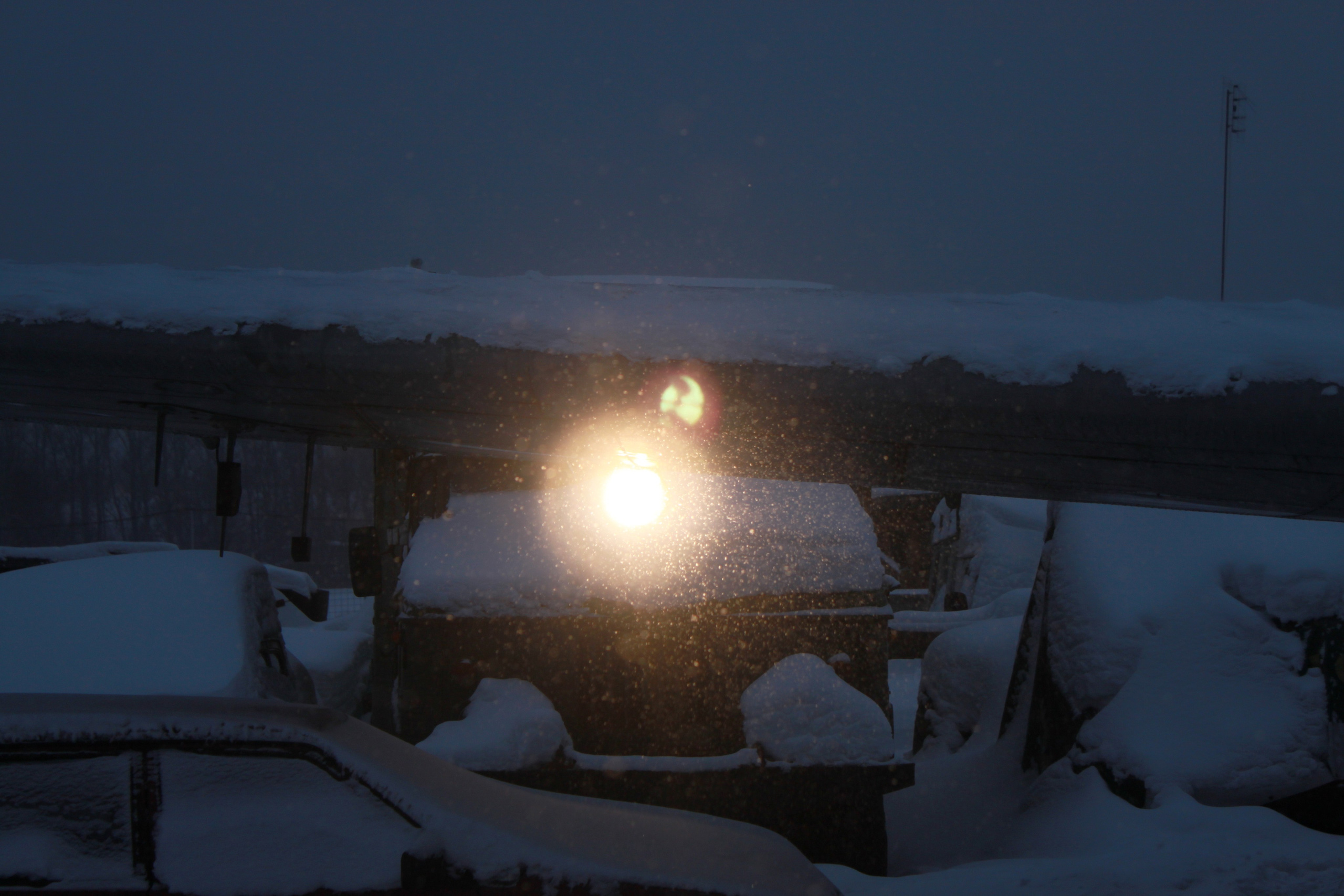 Ил-14Т «Голубая Мечта» работы в Тушино (2011 г.). Фотоальбом показывающий увлекательный мир авиации и мир медведей Андрея Иванова