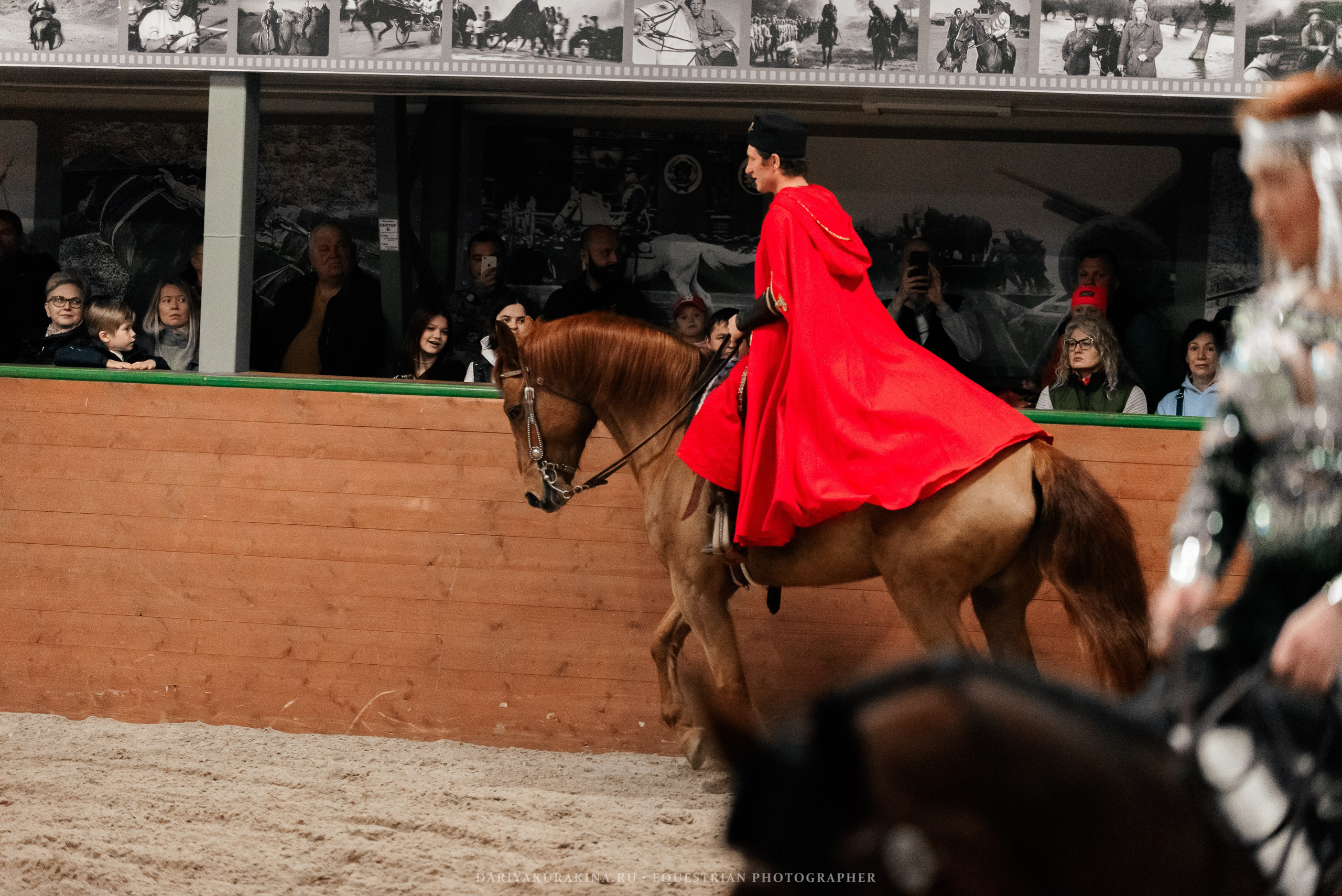 Конное представление «Дыхание Звёзд». Конный фотограф Куракина Дарья • Фотосессии с лошадьми