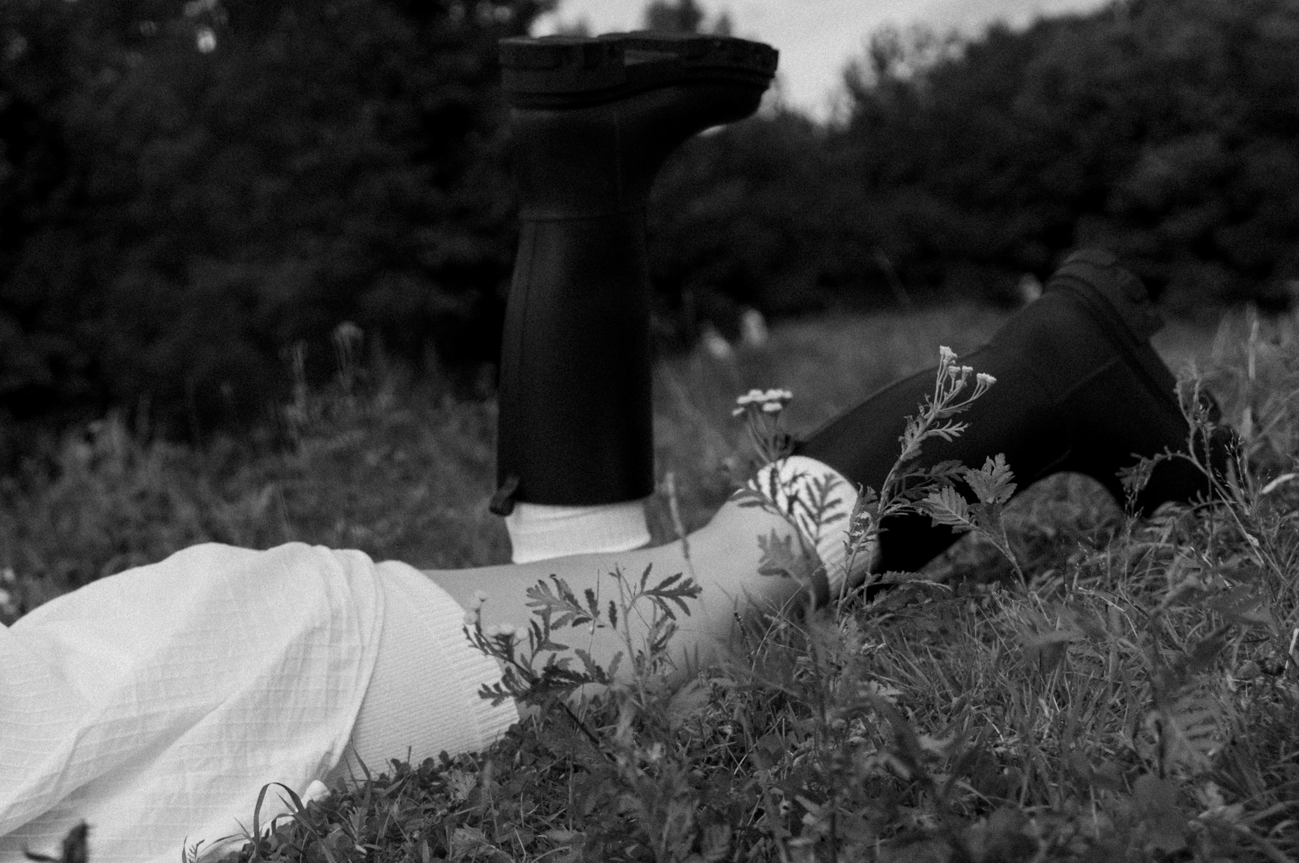 Для Екатерины. FotoTanya. Раменское/Жуковский/Бронницы