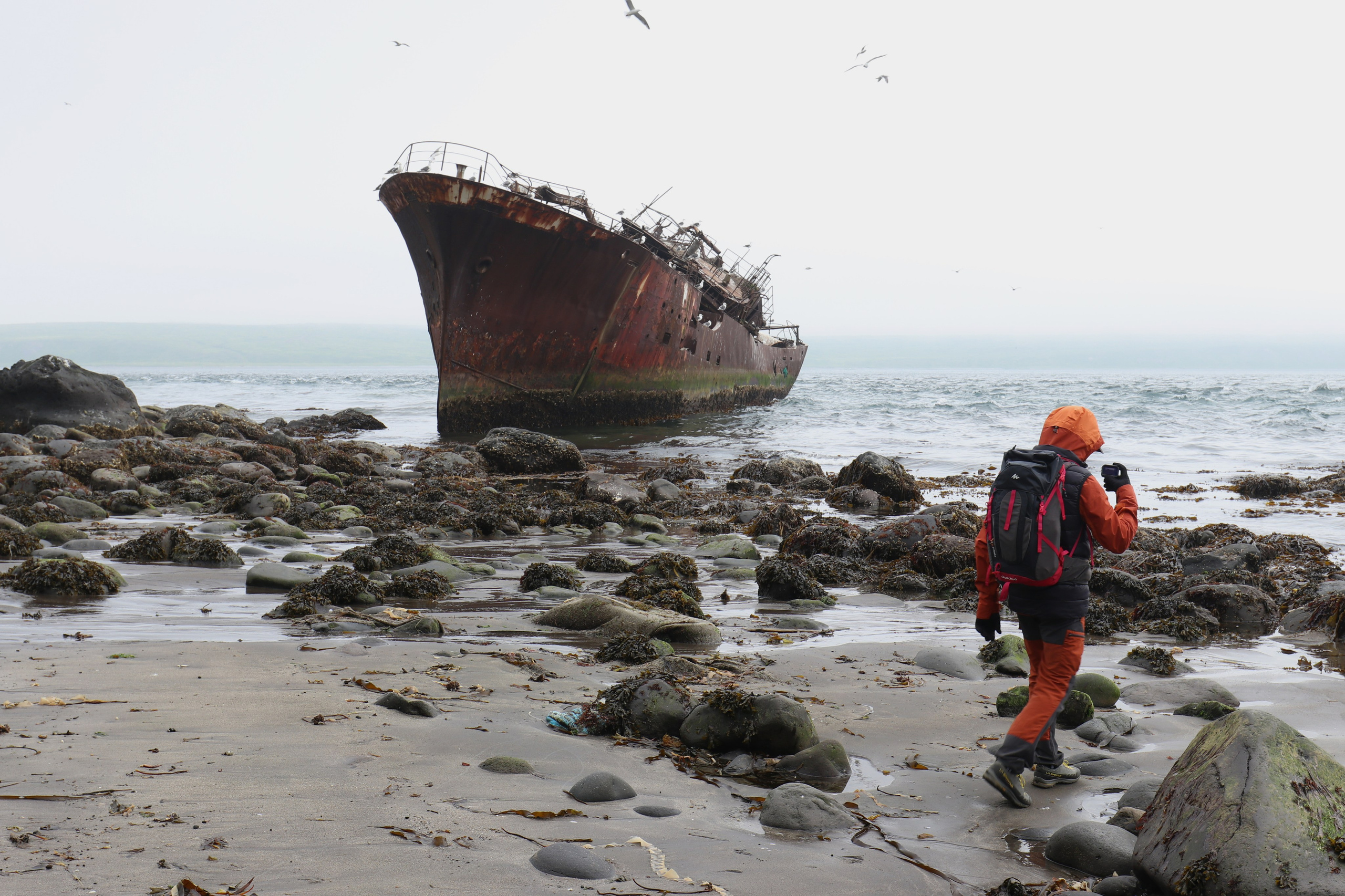 Камчатка и о. Парамушир. Июль 2024. Путешественник-фотограф из Санкт-Петербурга Татьяна Свистулина