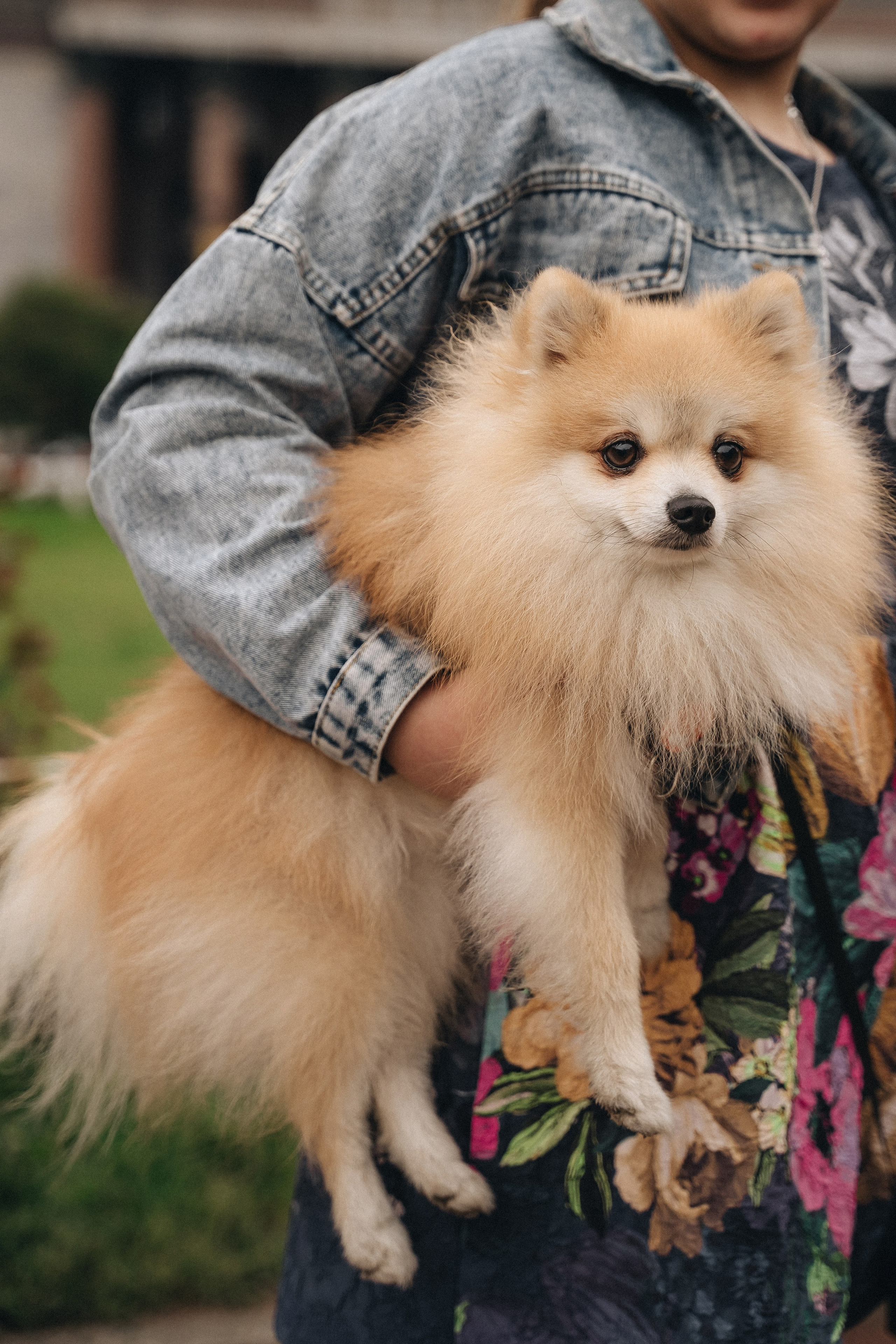 Ольга. Фотограф Санкт-Петербург/Гомель Виктория Петрова