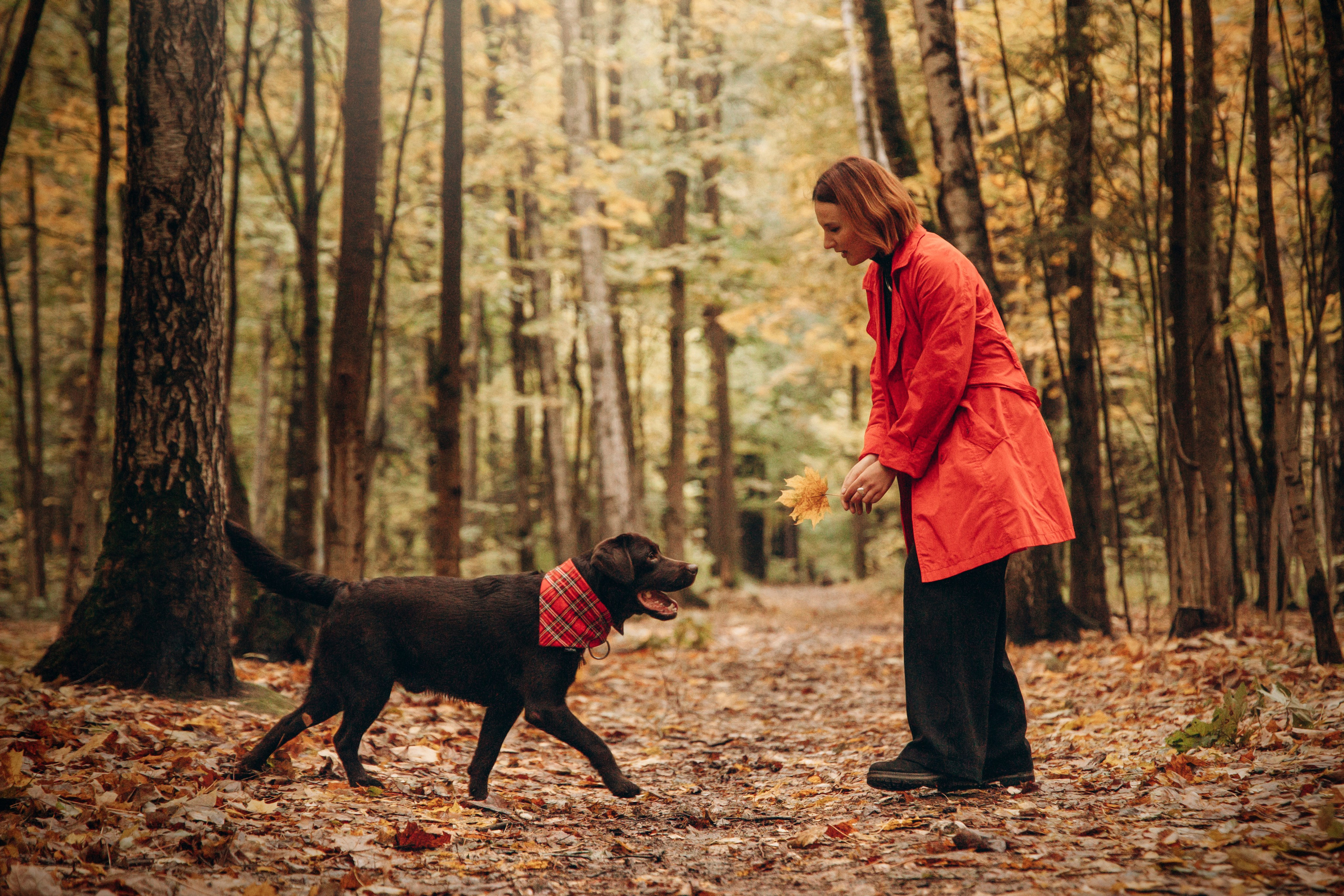 Арина и Сэмми. Фотограф — Анималист | Санкт-Петербург