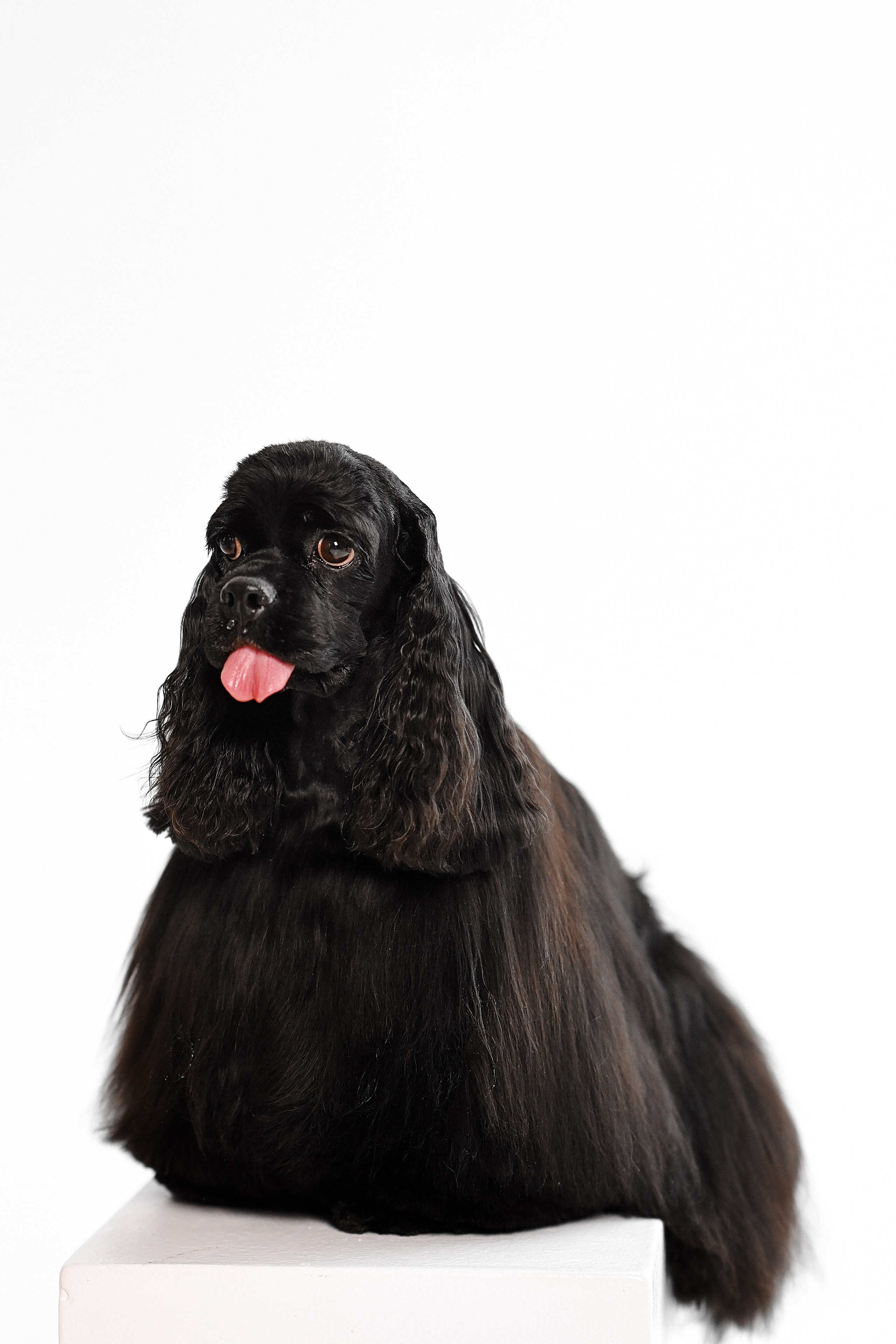 Оксана. Свадебный и семейный фотограф в Самаре Головань Наталья