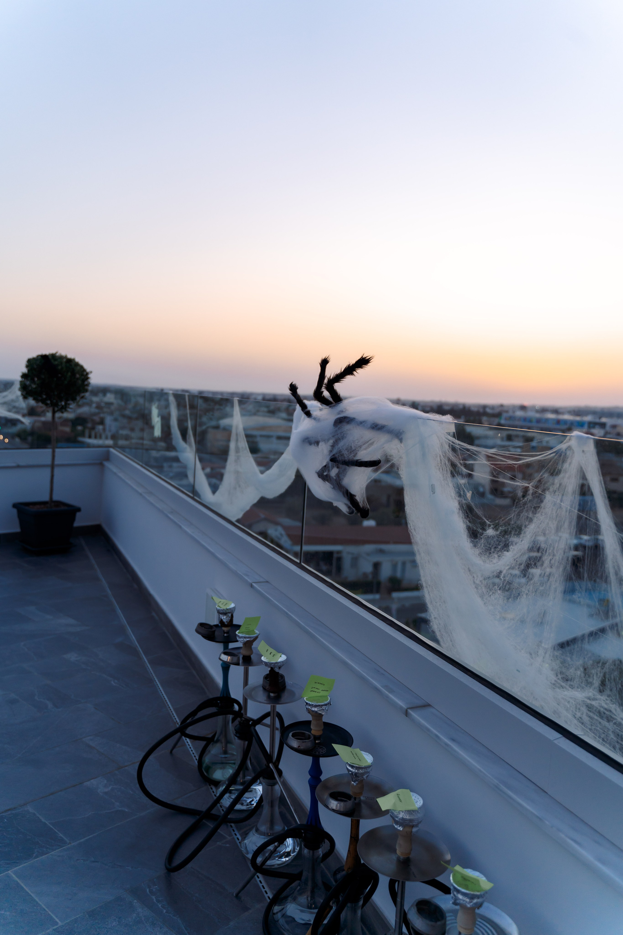 Хелоуин в Advida. Свадебный и семейный фотограф Ирина Чернова