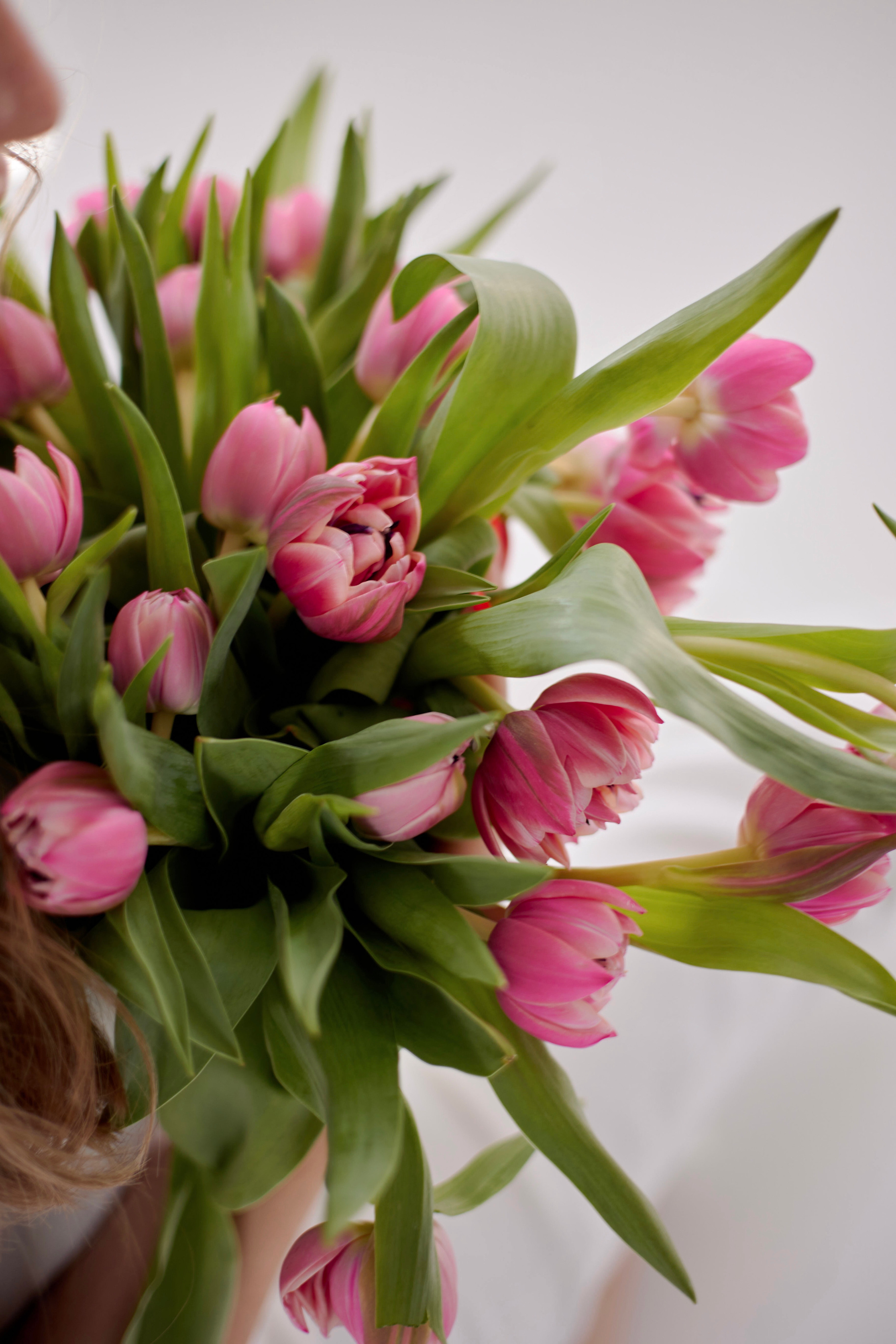 Elena. Анна Мамаева коммерческий фотограф в Красноярске