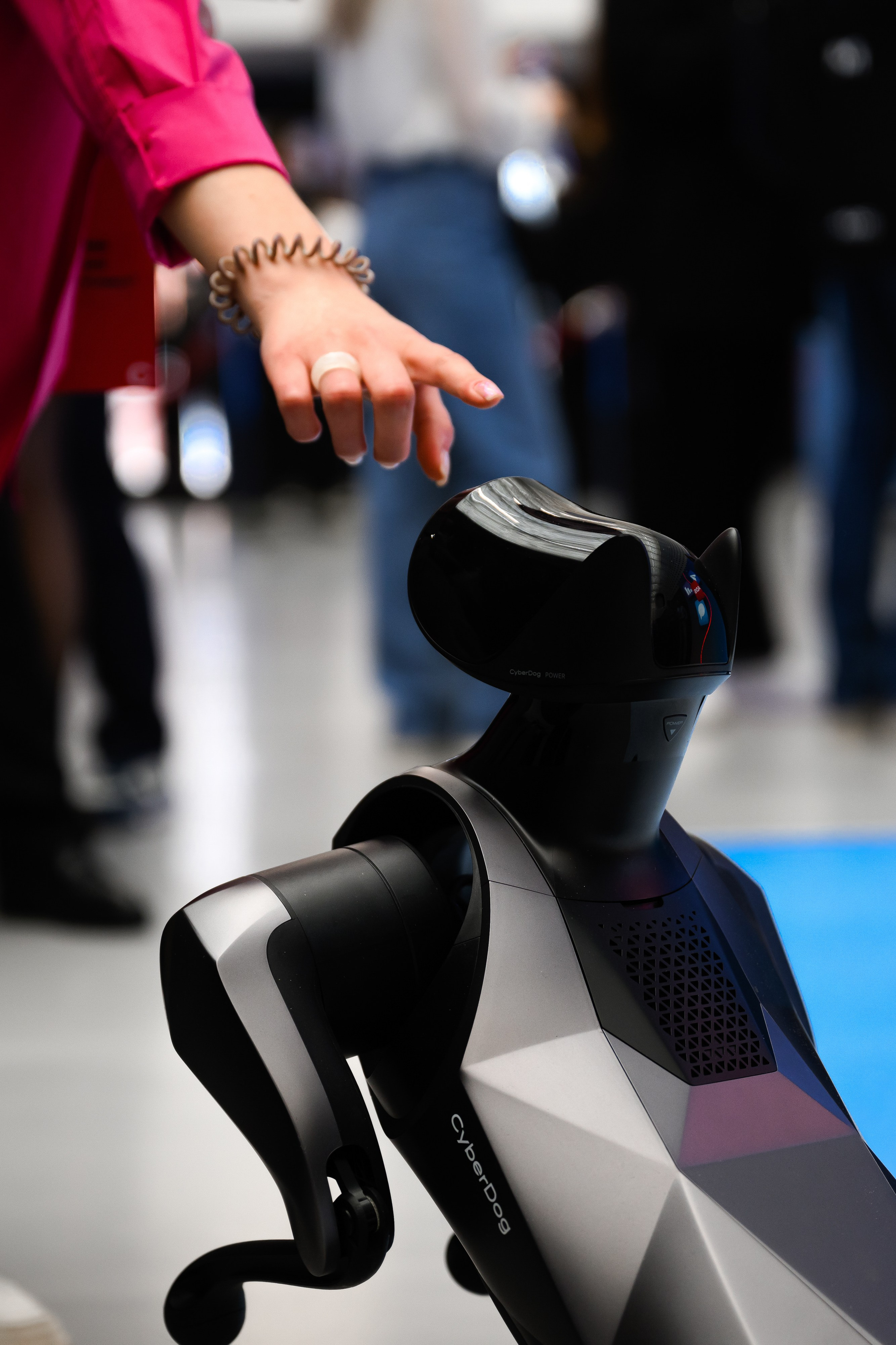 MTS ADS| Большая конференция маркетолога. Портфолио