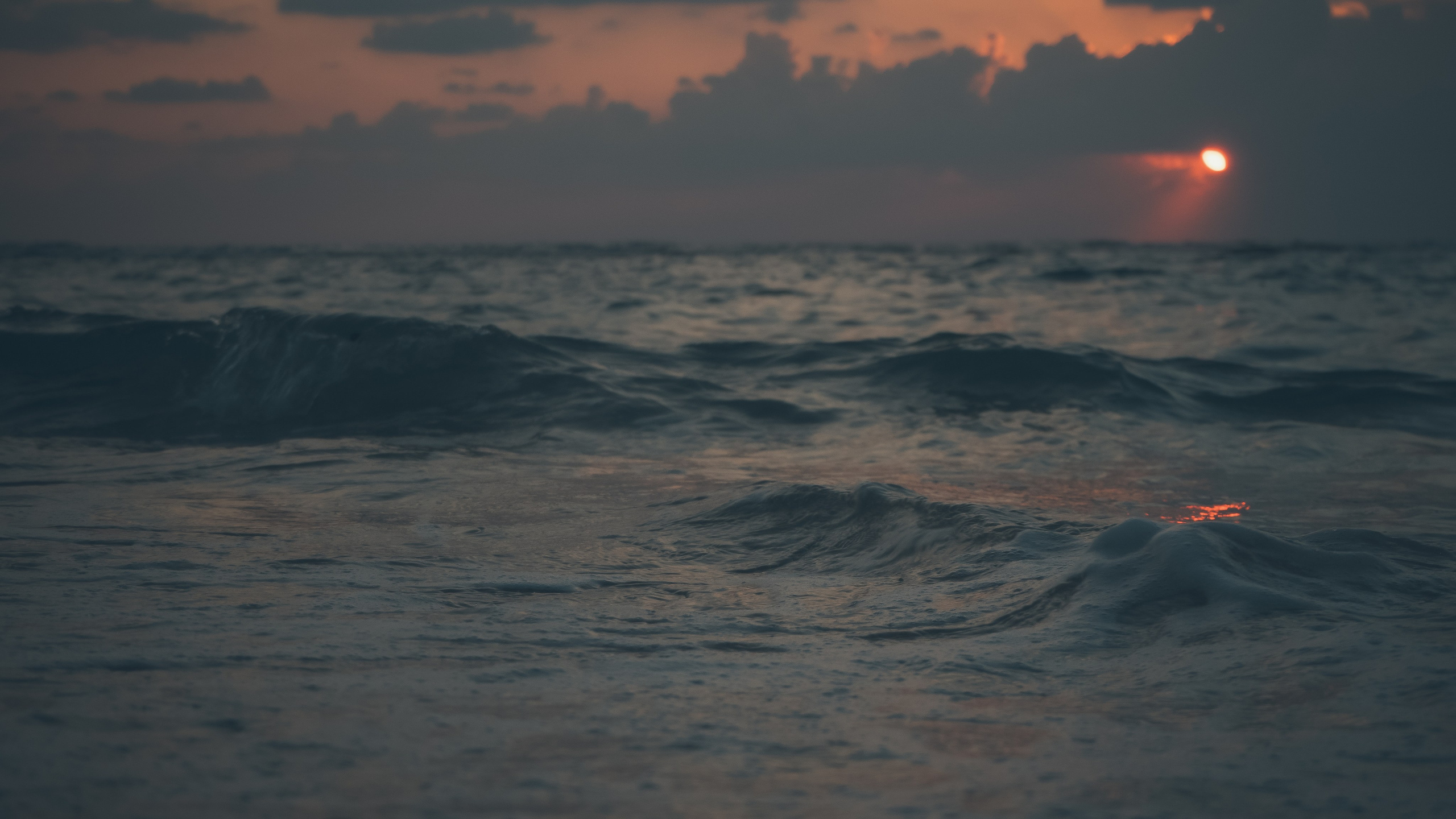 Израиль. Свадебный фотограф Копков Геннадий