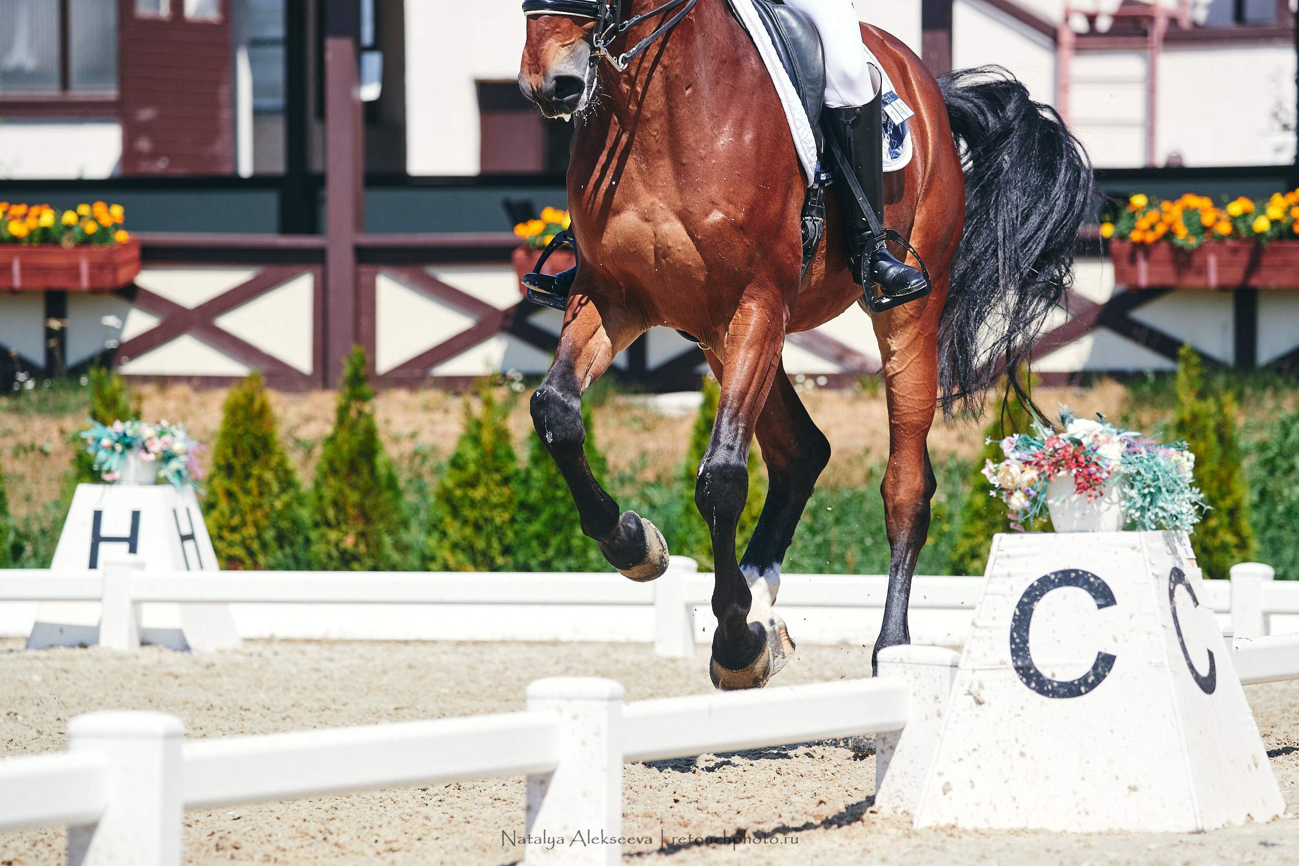 EurAsia Championship Moscow 2021, Maxima Park | 07'2021. Репортажный фотограф и ретушер в Москве Наталья Алексеева
