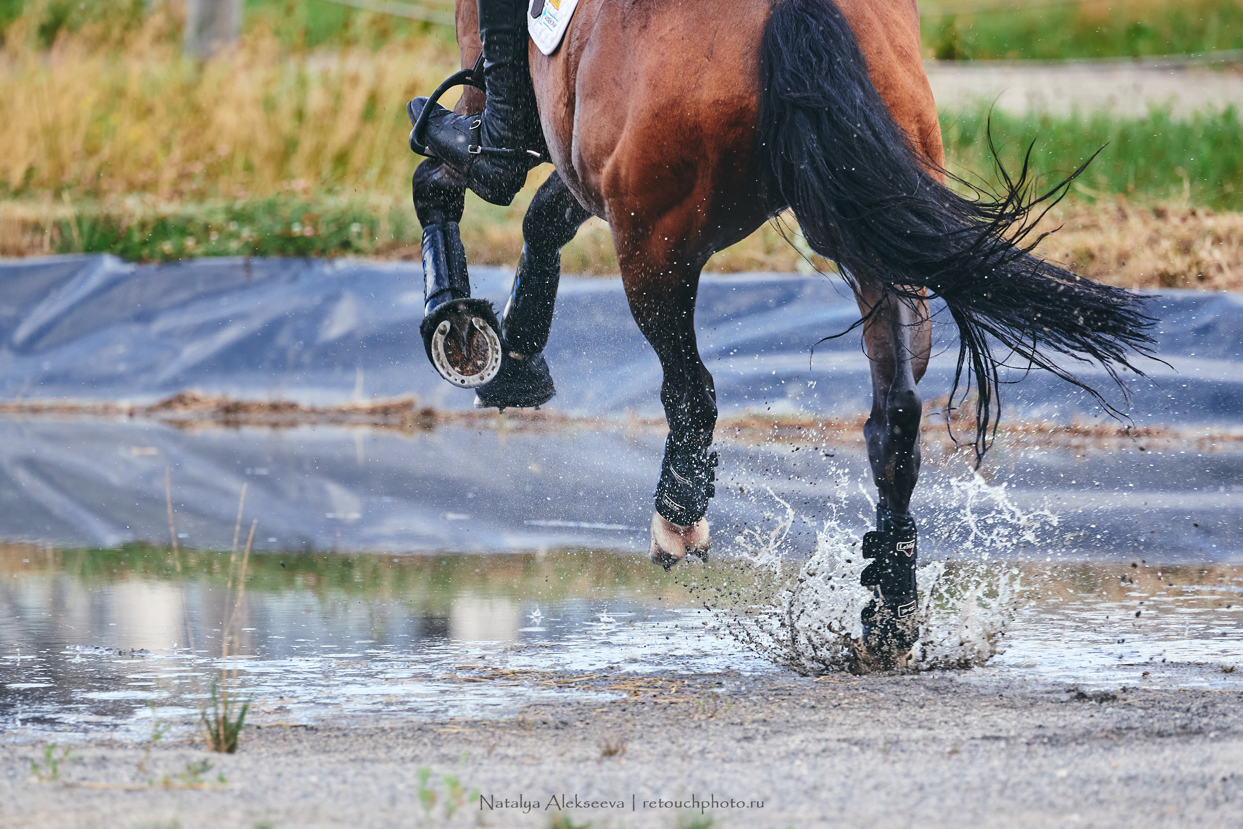 EurAsia Championship Moscow 2021, Maxima Park | 07'2021. Репортажный фотограф и ретушер в Москве Наталья Алексеева
