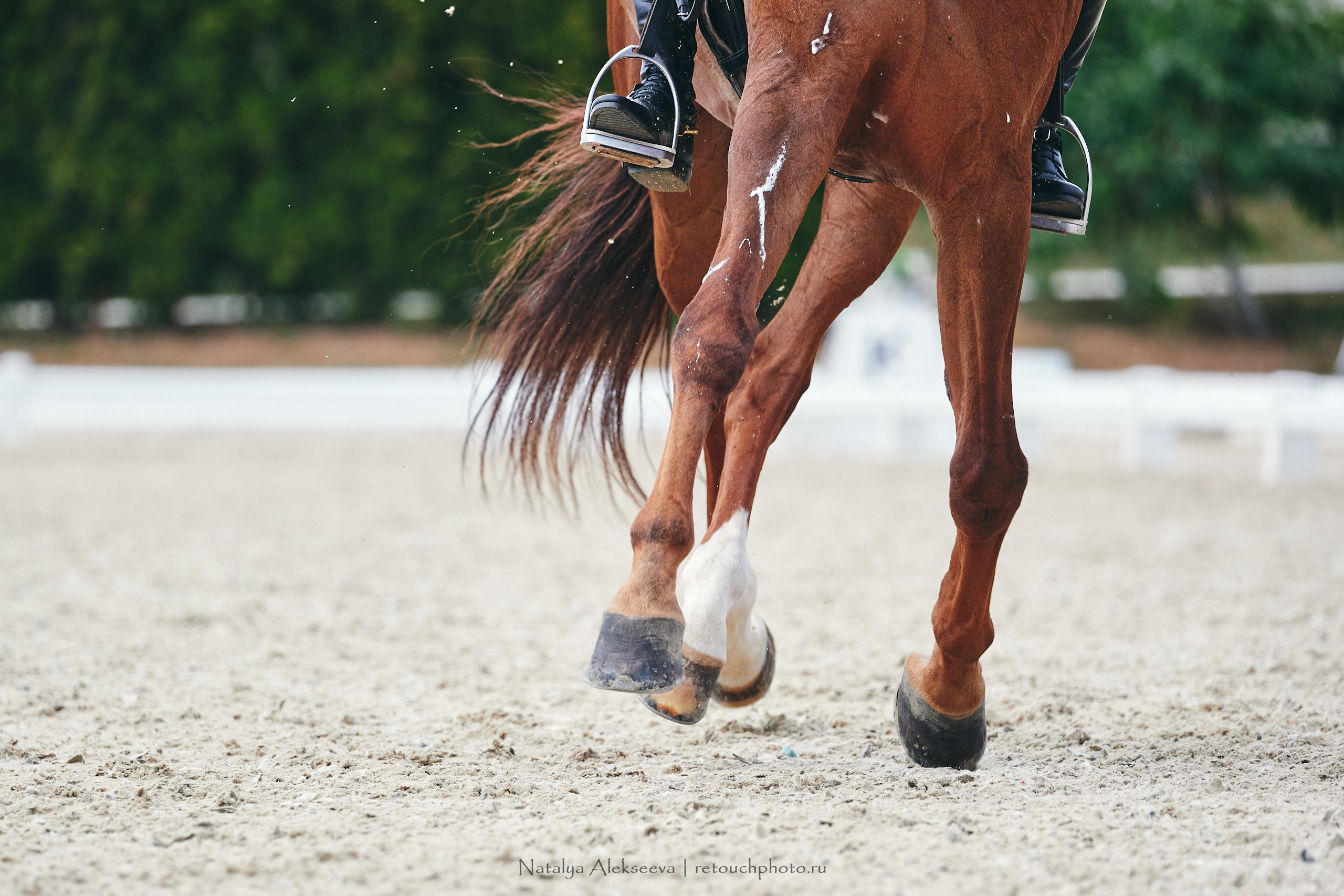 EurAsia Championship Moscow 2021, Maxima Park | 07'2021. Репортажный фотограф и ретушер в Москве Наталья Алексеева