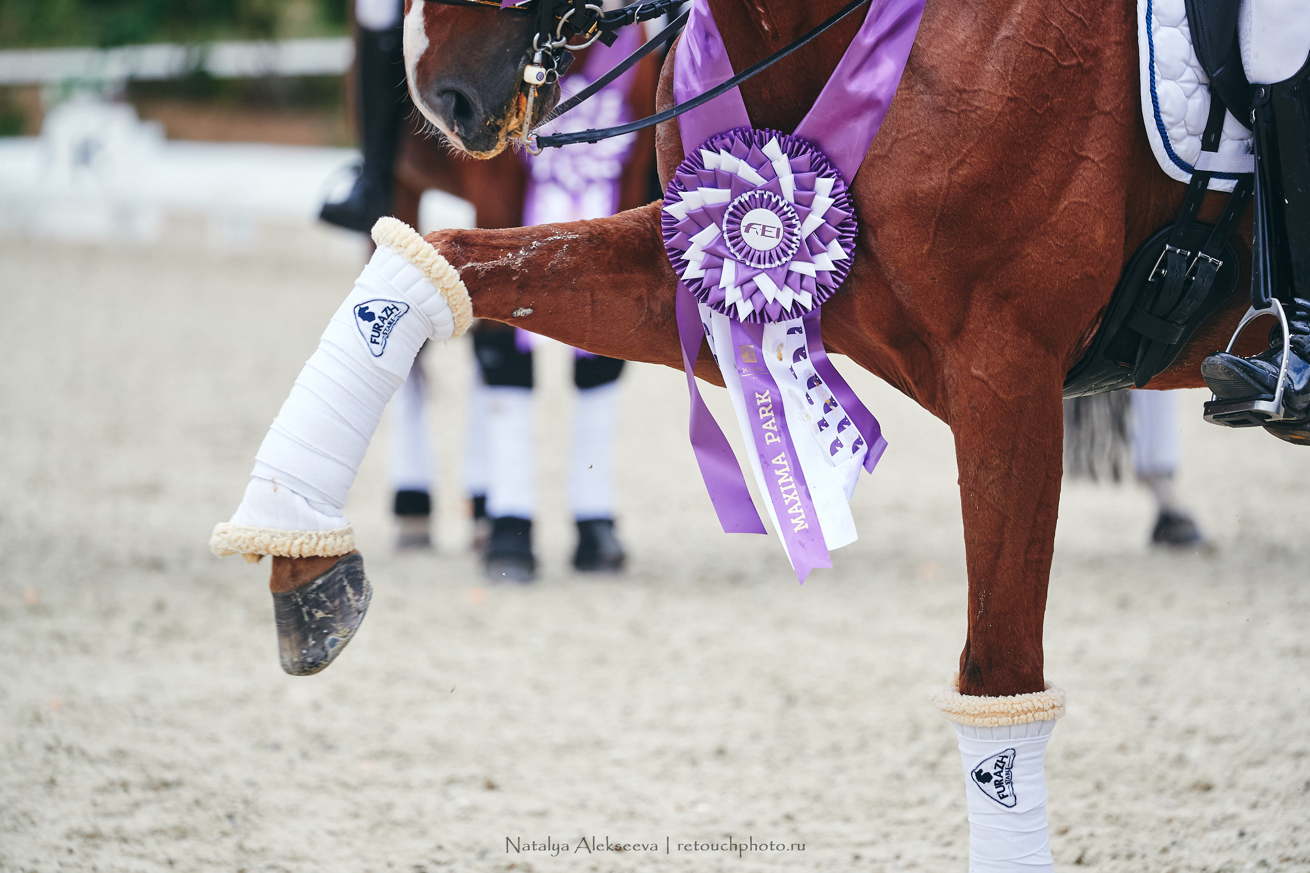 EurAsia Championship Moscow 2021, Maxima Park | 07'2021. Репортажный фотограф и ретушер в Москве Наталья Алексеева
