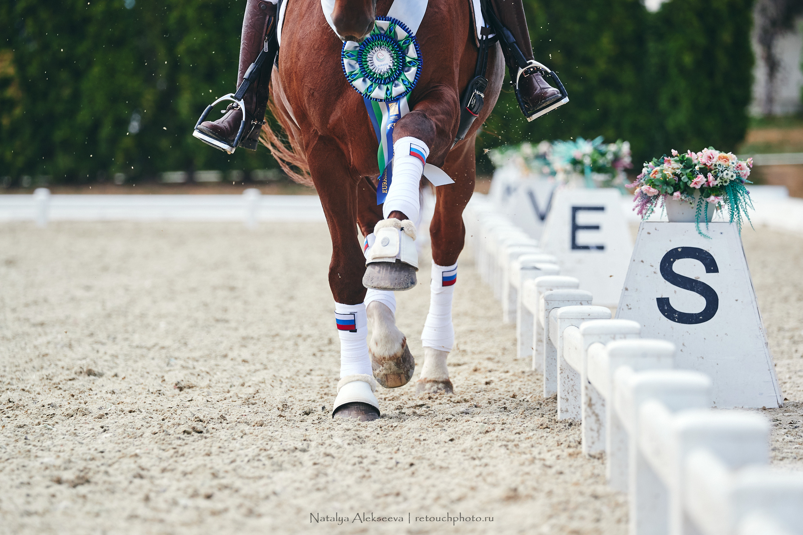 EurAsia Championship Moscow 2021, Maxima Park | 07'2021. Репортажный фотограф и ретушер в Москве Наталья Алексеева