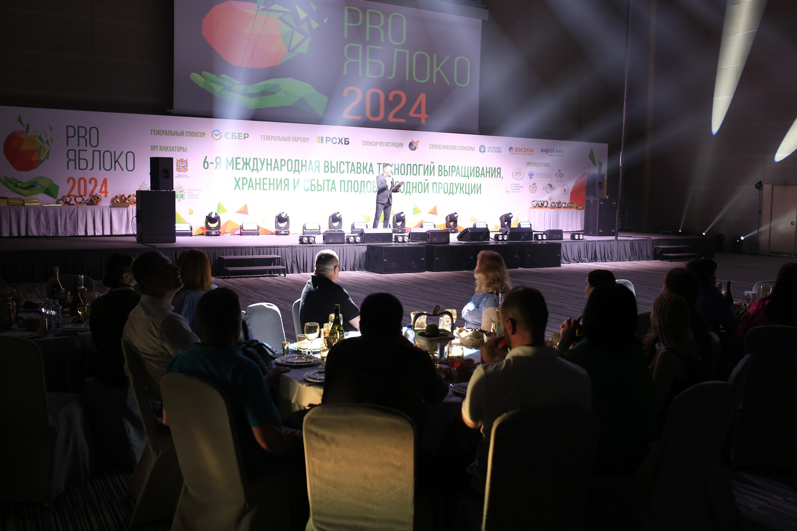 Светский ужин Про Яблоко 2024. Репортажный и свадебный фотограф Пятигорск и КМВ