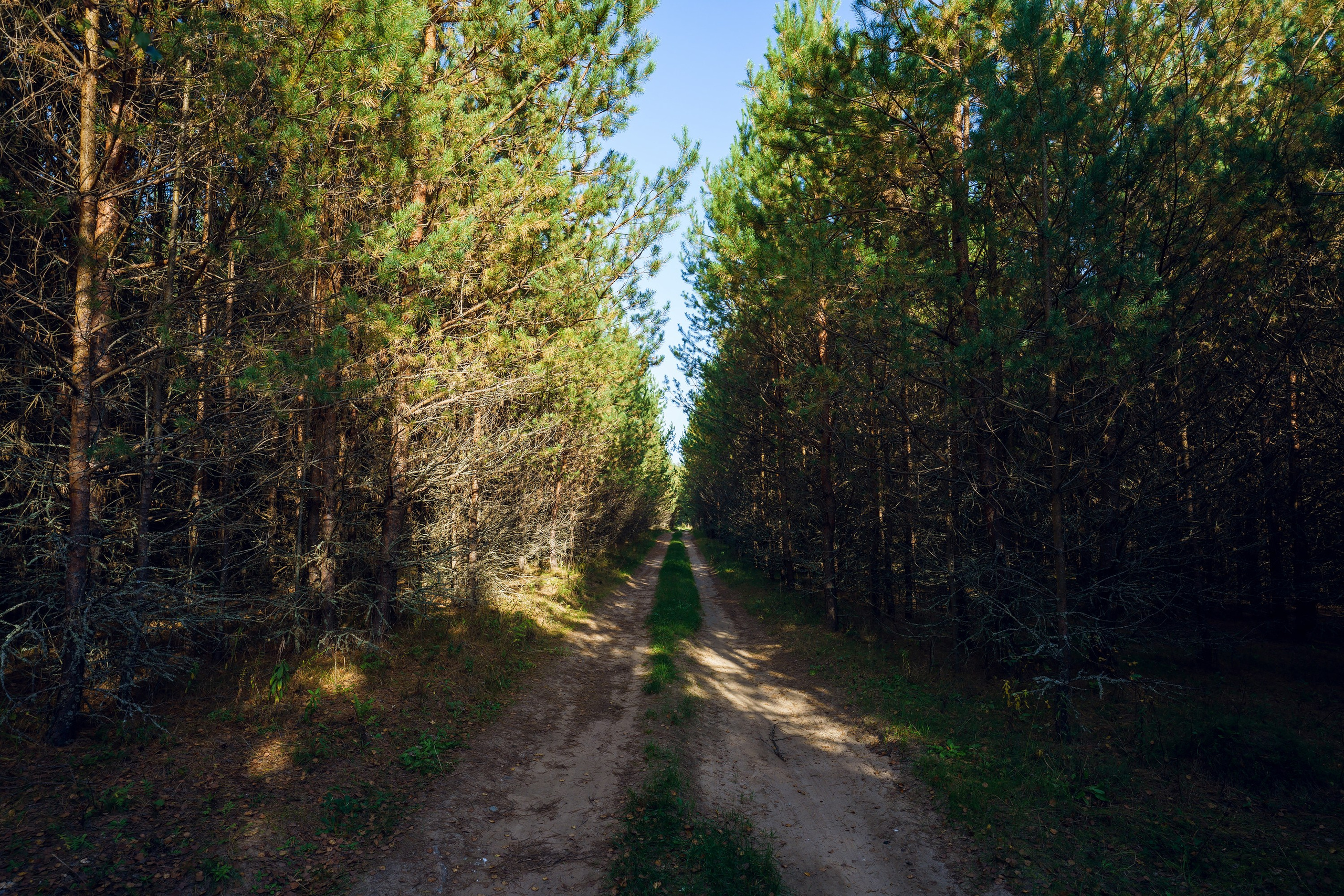 Фотографии Большая Калужская Тропа. Фотограф спортивные события, недвижимость, турбизнес