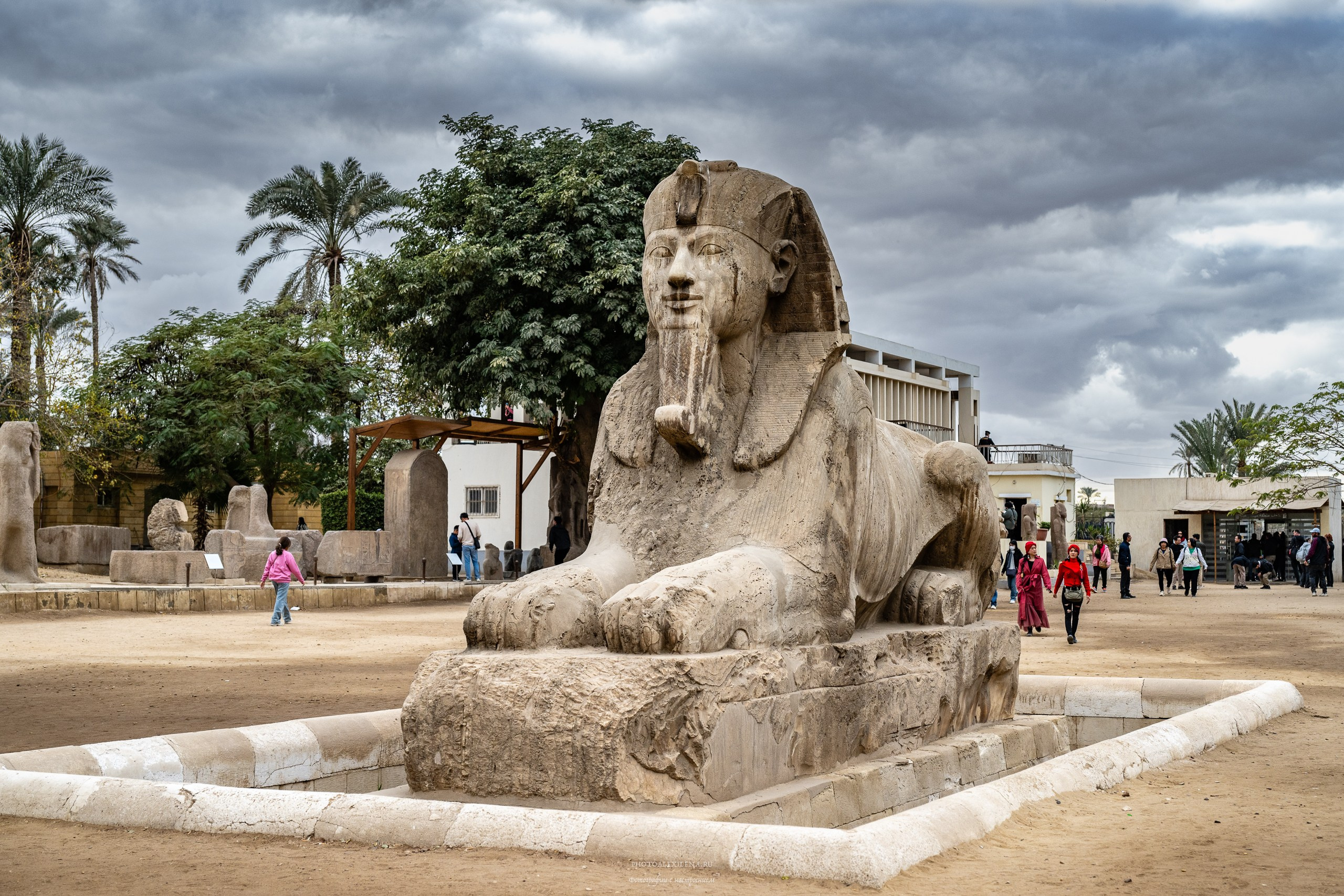 Сфинкс Мемфисский)