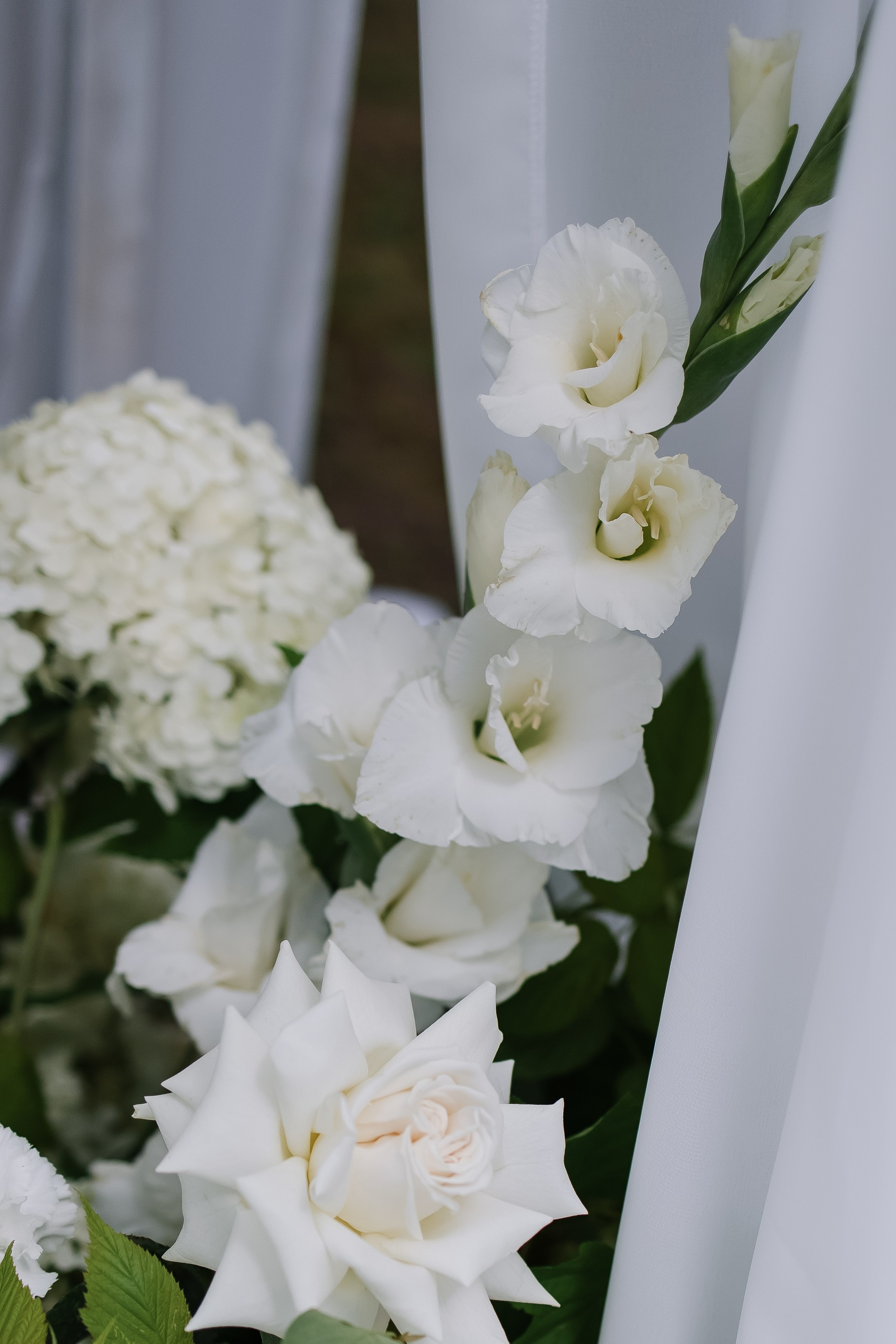 Егор/Арина. Свадебный фотограф