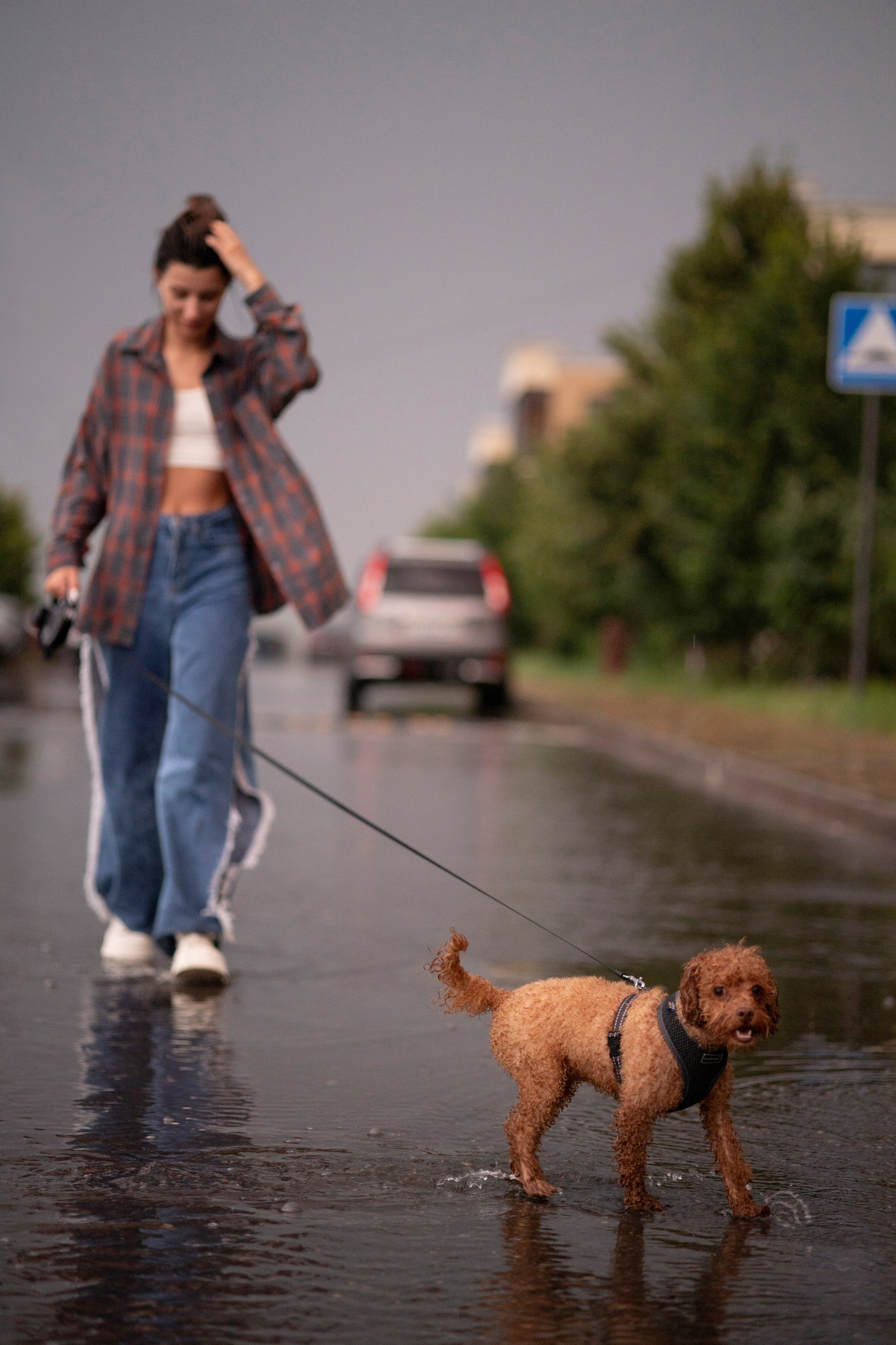 Съемка с собакой. Анастасия Белаш