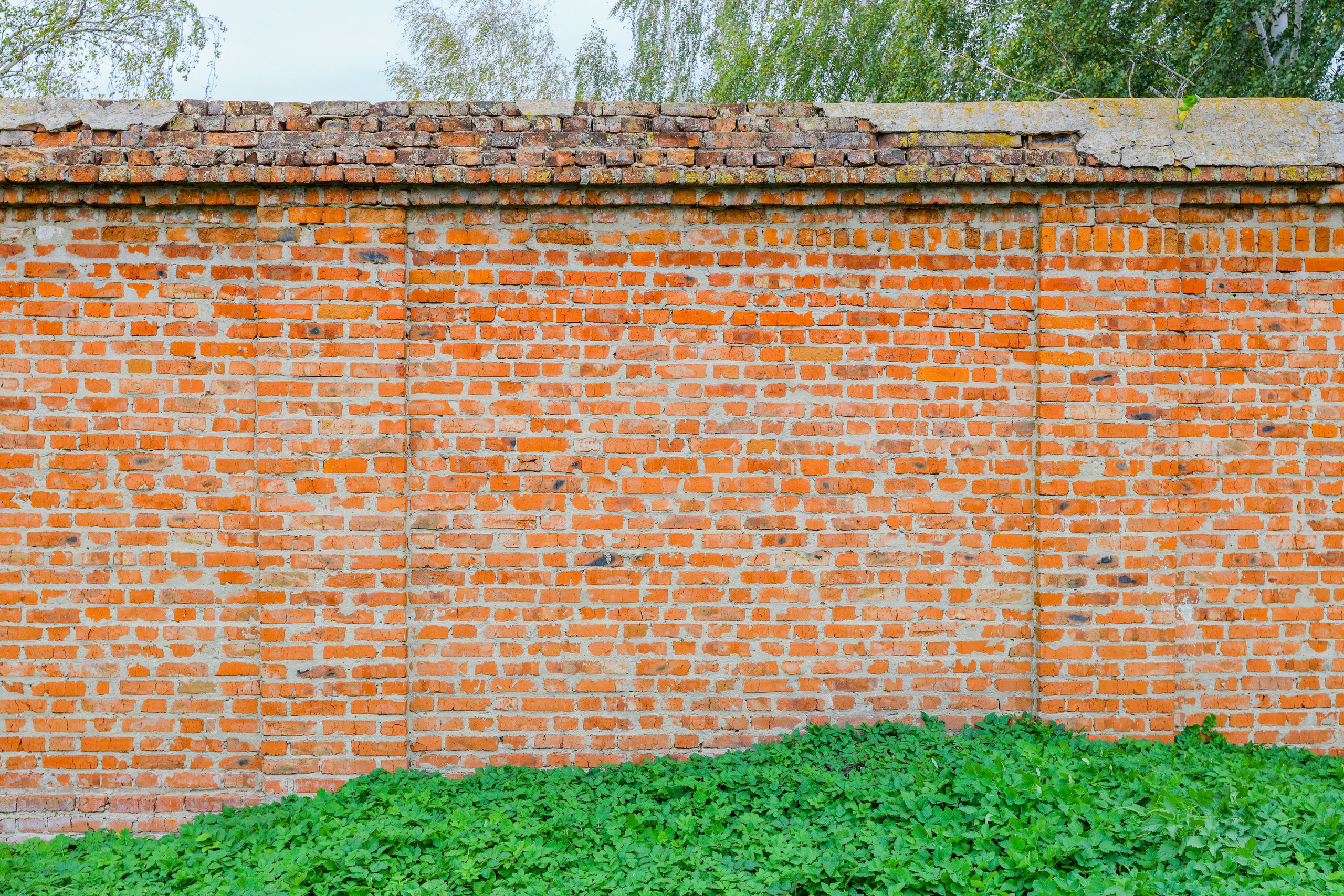 Поездка в Белев и на производство пастилы. Фотограф в Туле Крупский АнДРей. Фотостудия «КАДР71» в Туле