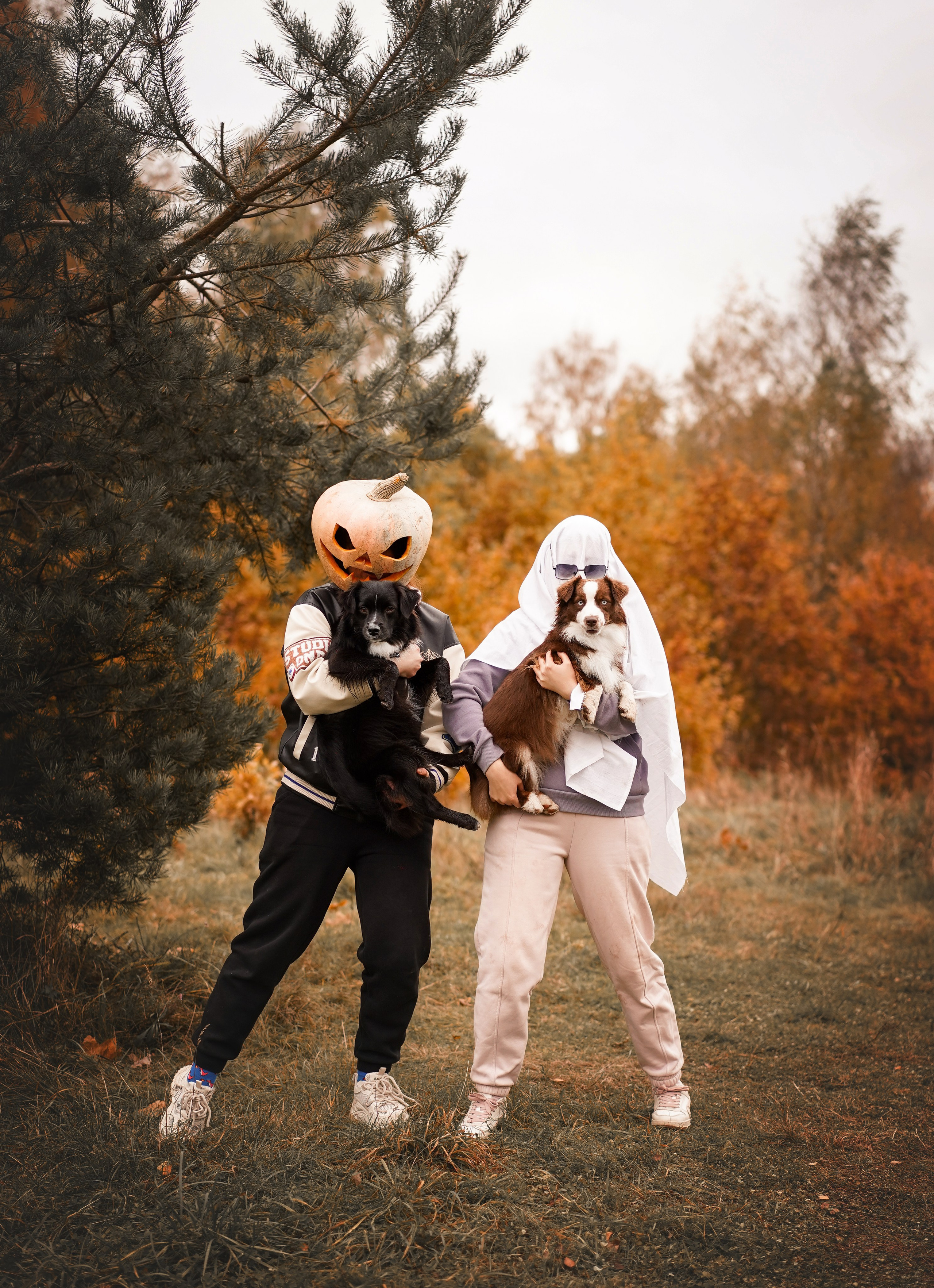 Фотодень Хэллоуин 2025. Фотограф-анималист в Санкт-Петербурге Яна Мартынова