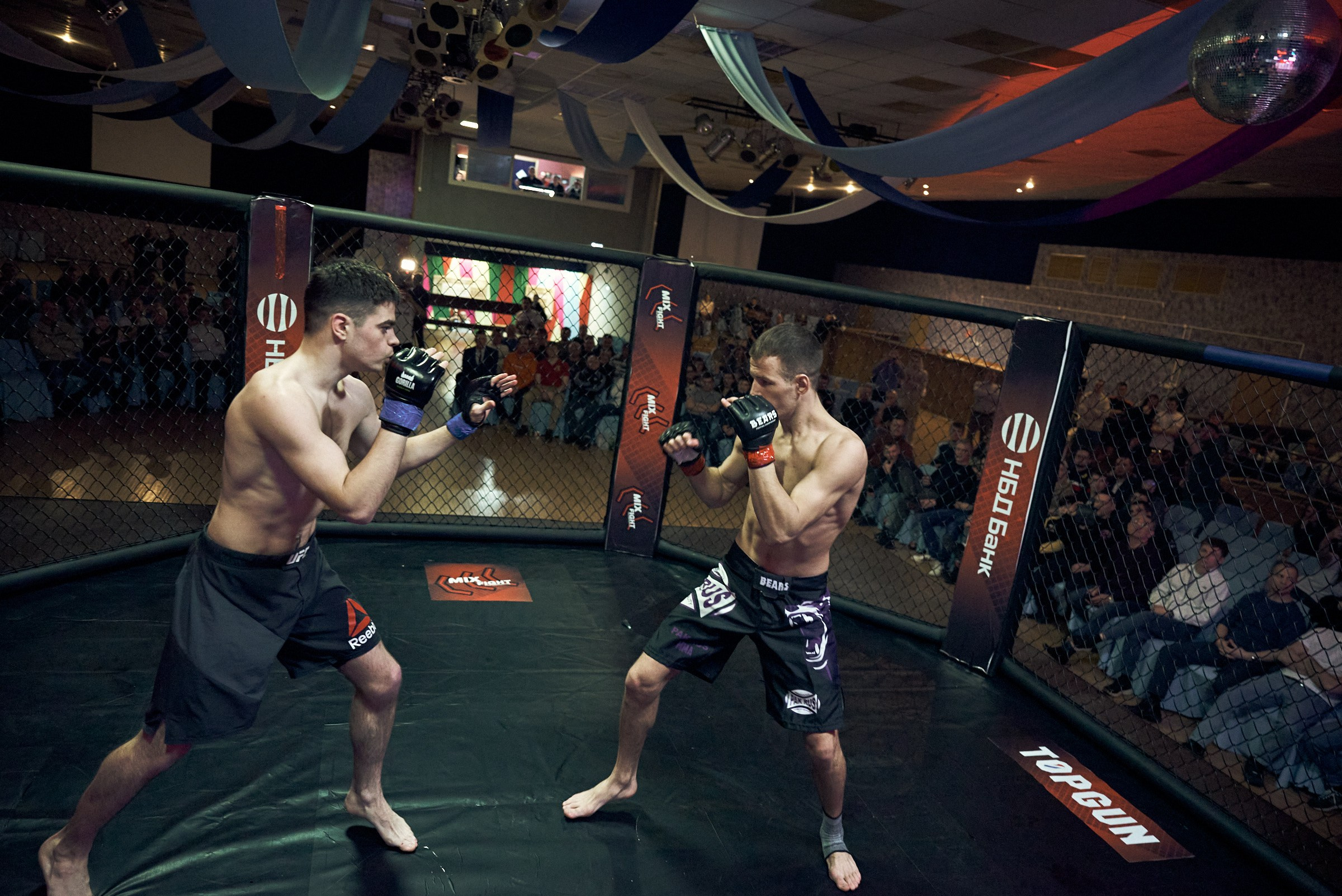 Бои. Маляревич Дмитрий свадебный фотограф