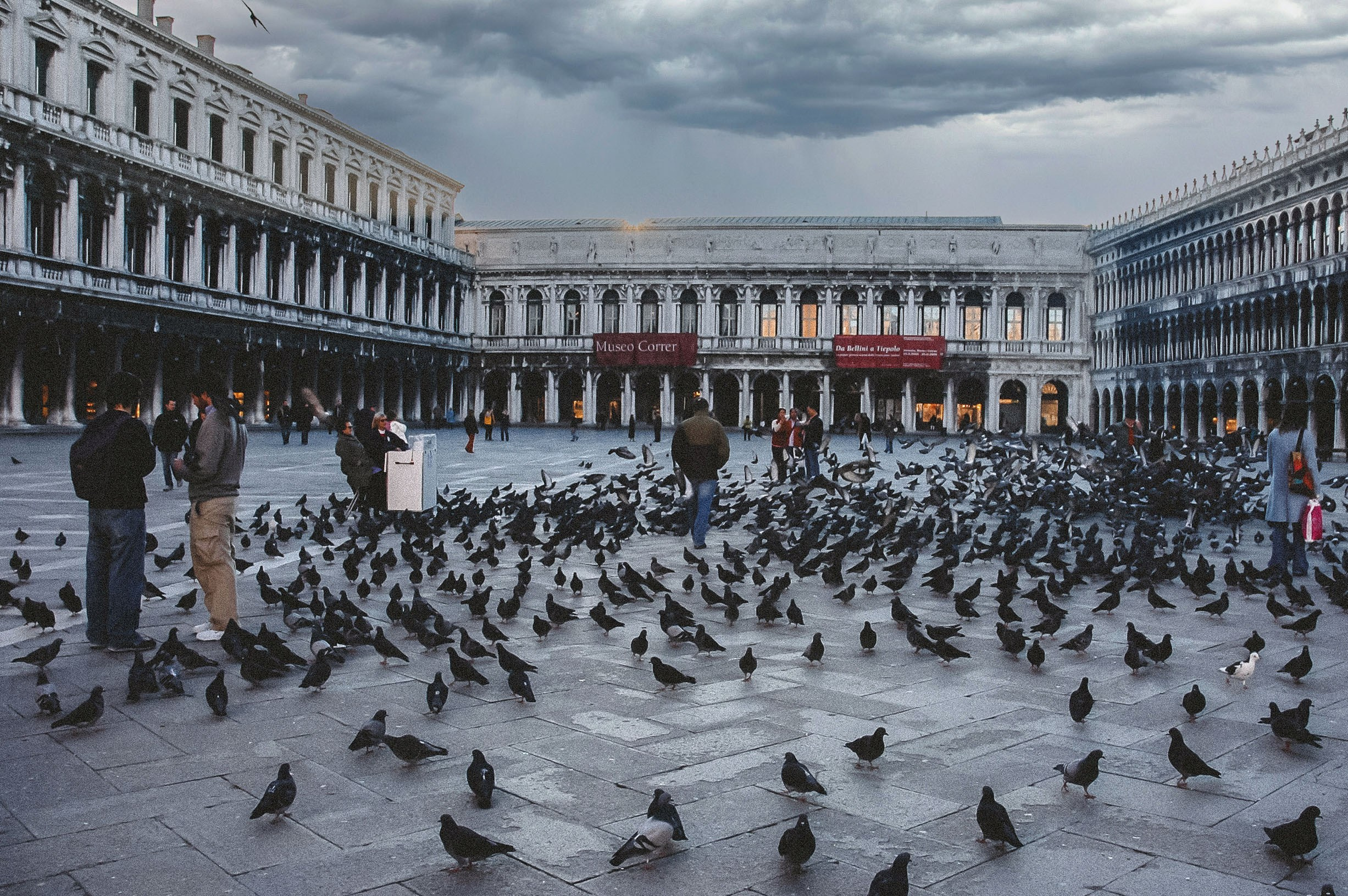 Portfolio. The Andris