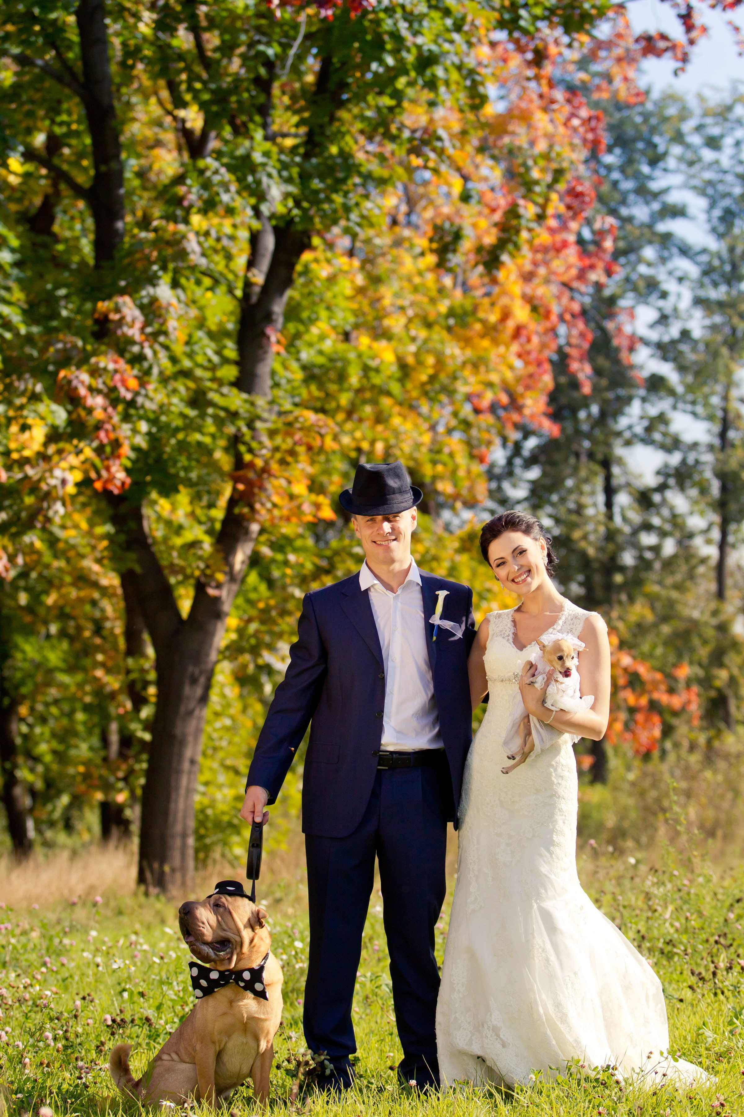 Свадьбы. Фотограф Алексей Архангельский