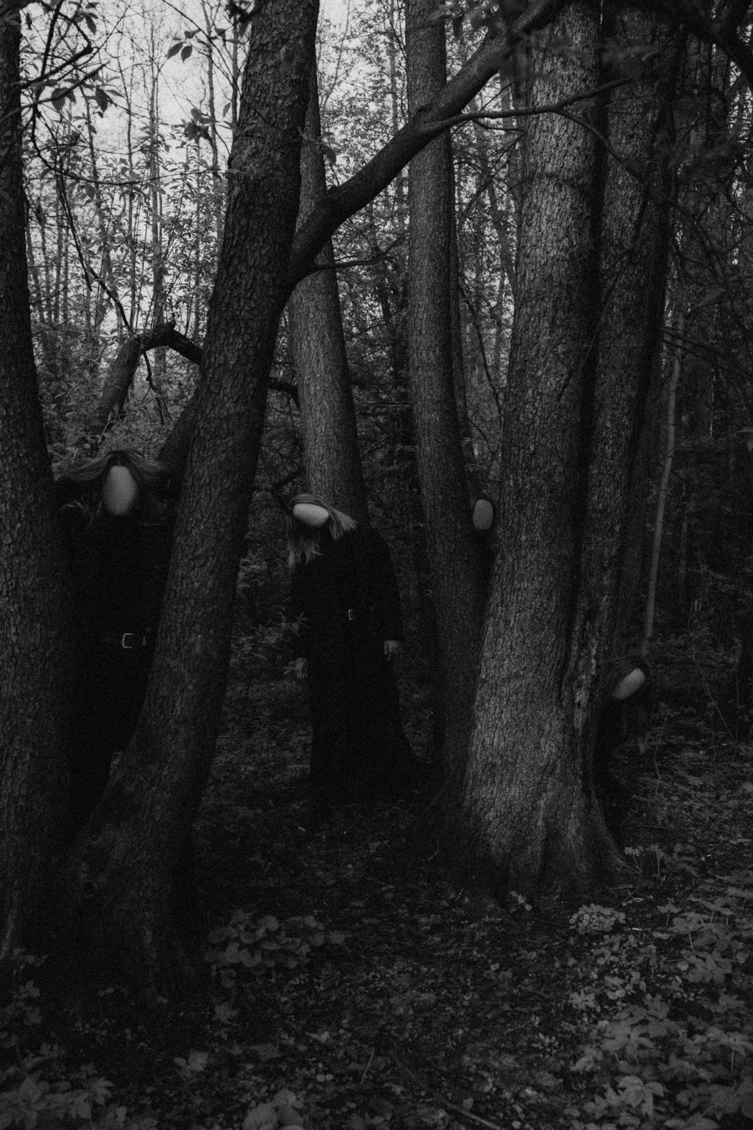 Les. Фото-художник