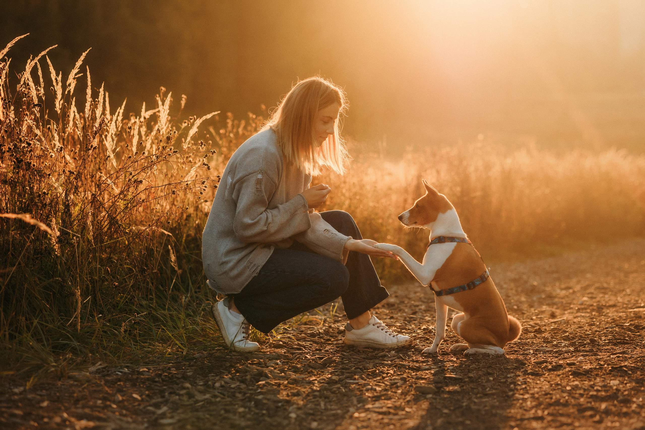 Лена и Джин. Фотограф-анималист Елена Радченко, Москва