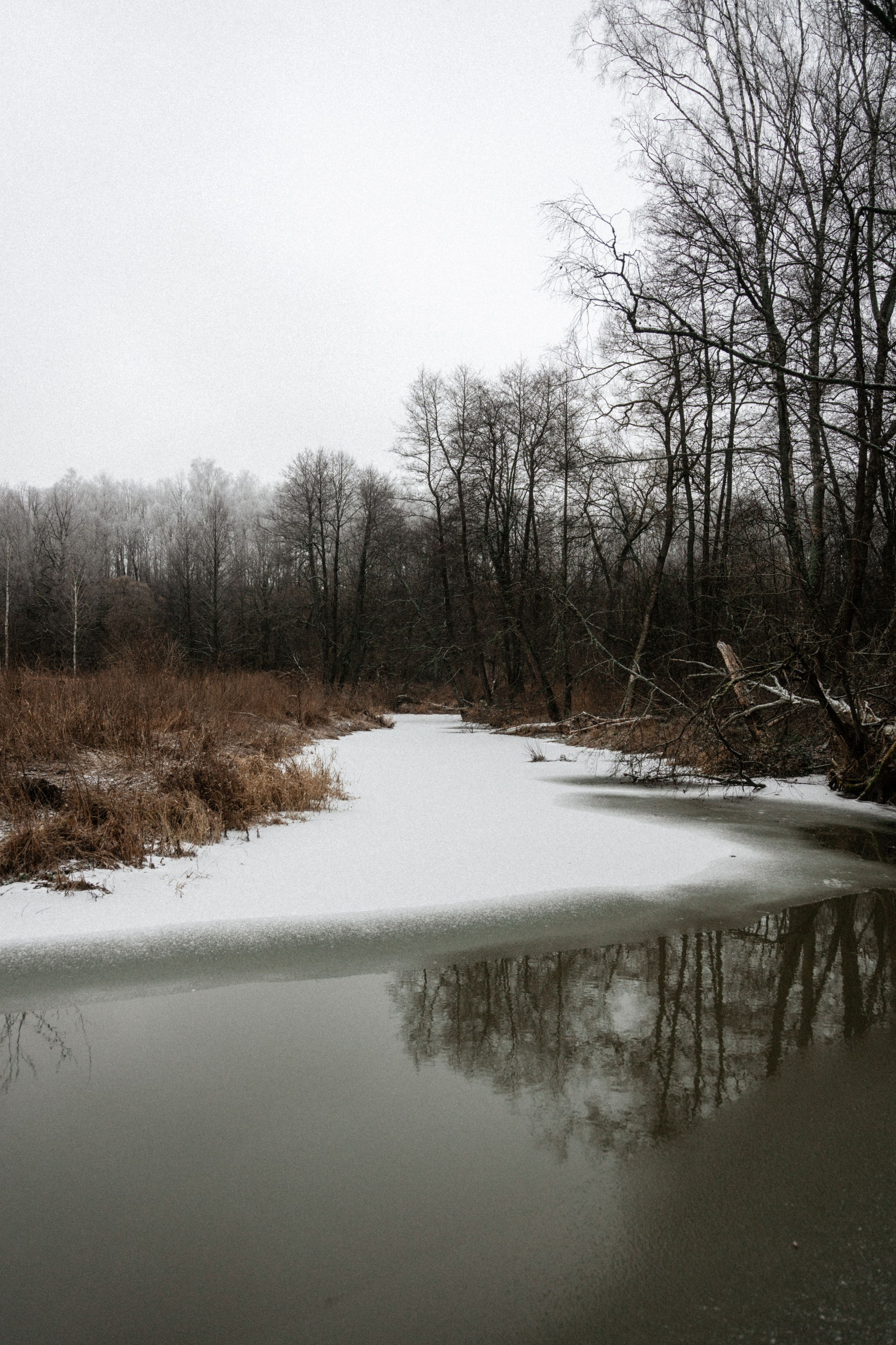 Прогулка по оврагу близ реки. Vlad Trykov