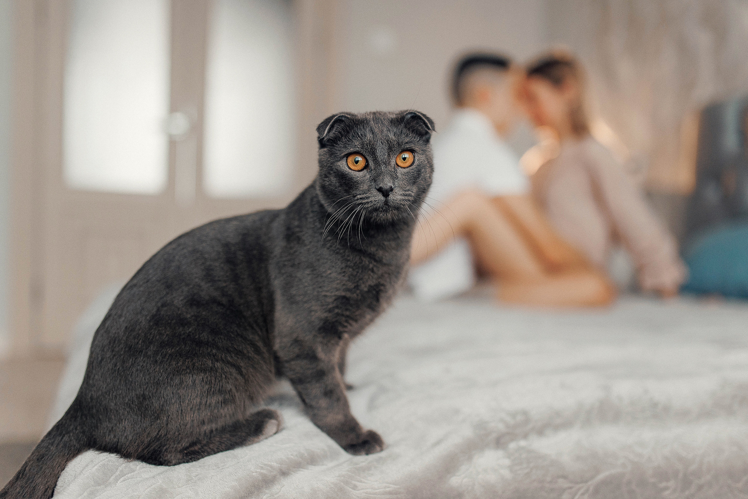 Настя и Влад ♥. Семейный, свадебный и персональный фотограф в Вологде Виктория Долгопо