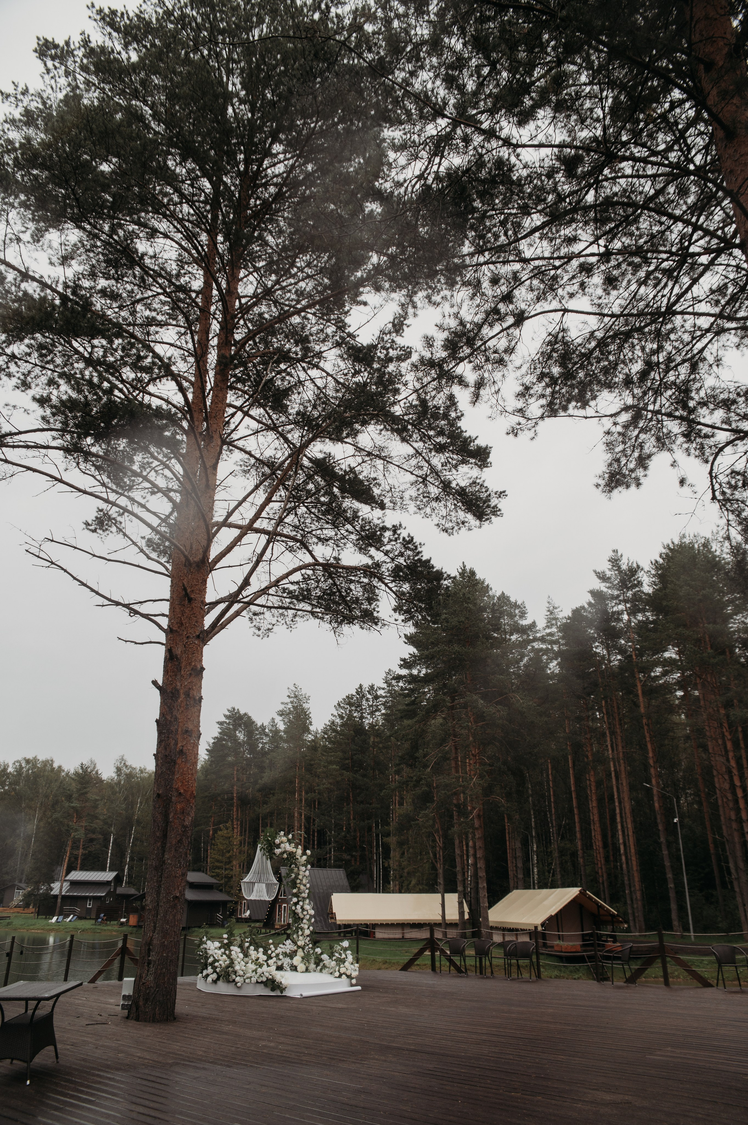 Свадебная фотосессия в Твери, Москве и Санкт-Петербурге. Свадебный фотограф в Твери, Москве и Санкт-Петербурге Денисова Екатерина