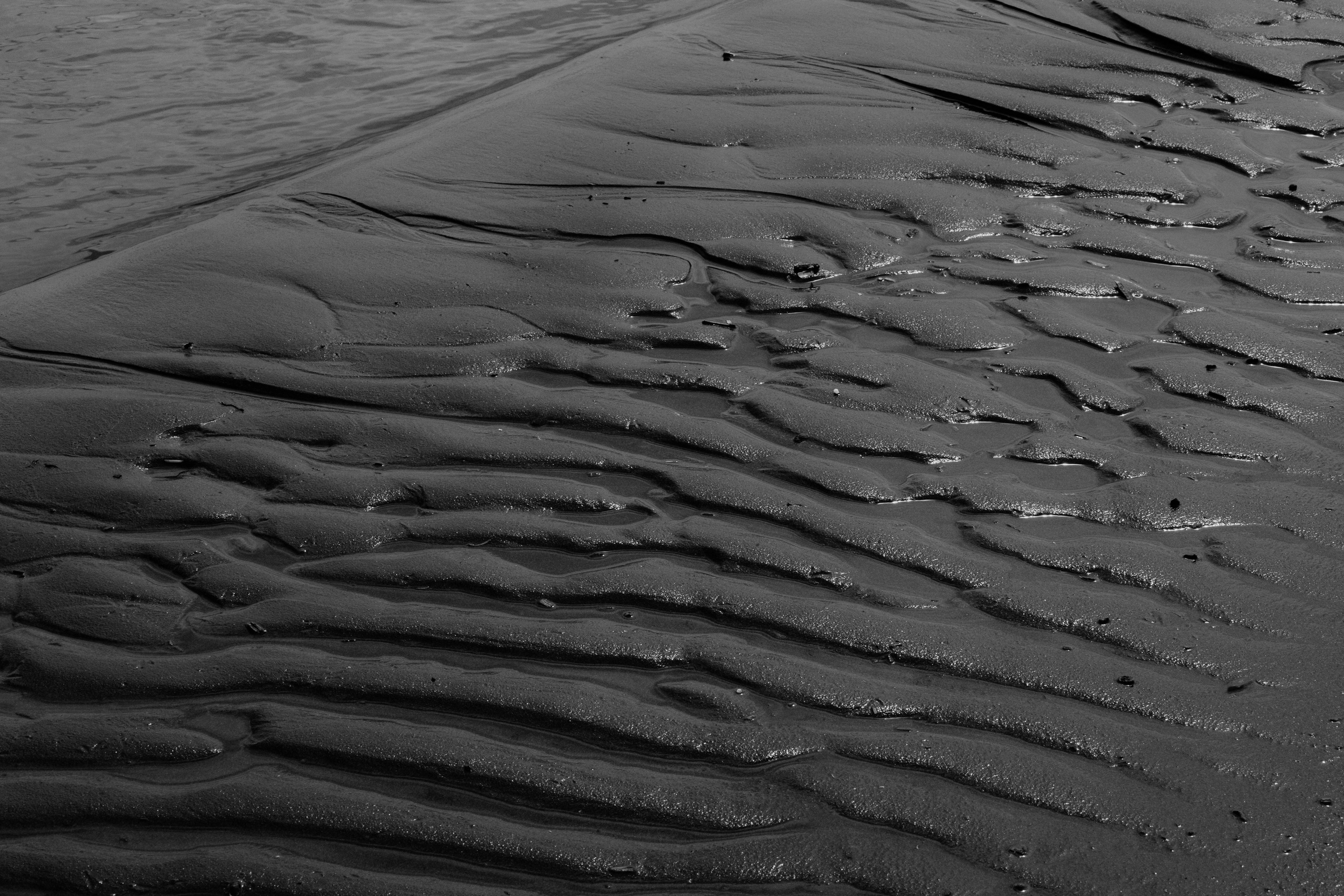 Portfolio. @beingabird.photography