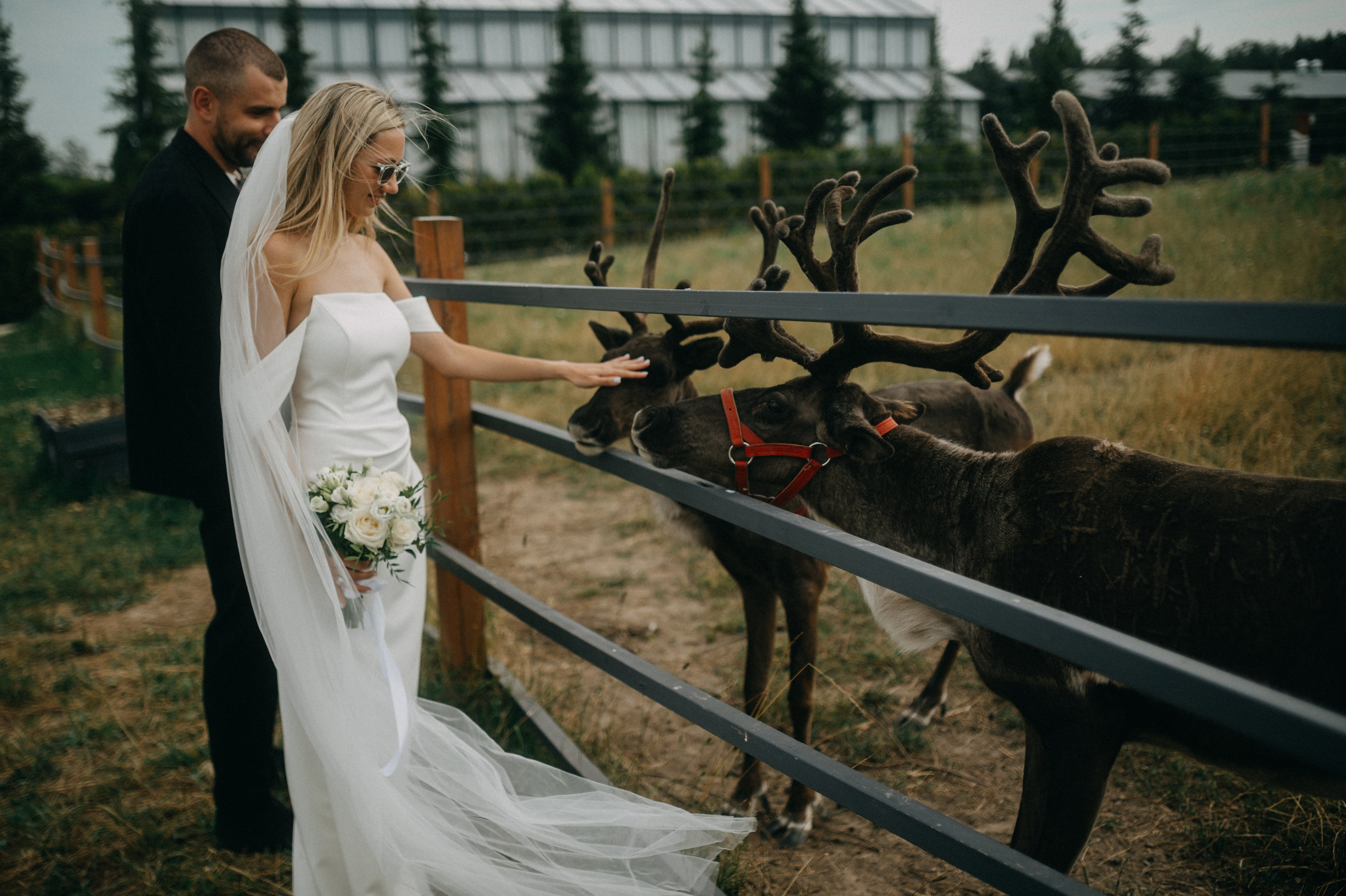 Данила и Кристина 29.07.25 весь день. Фотограф в Санкт Петербурге Лара Великова