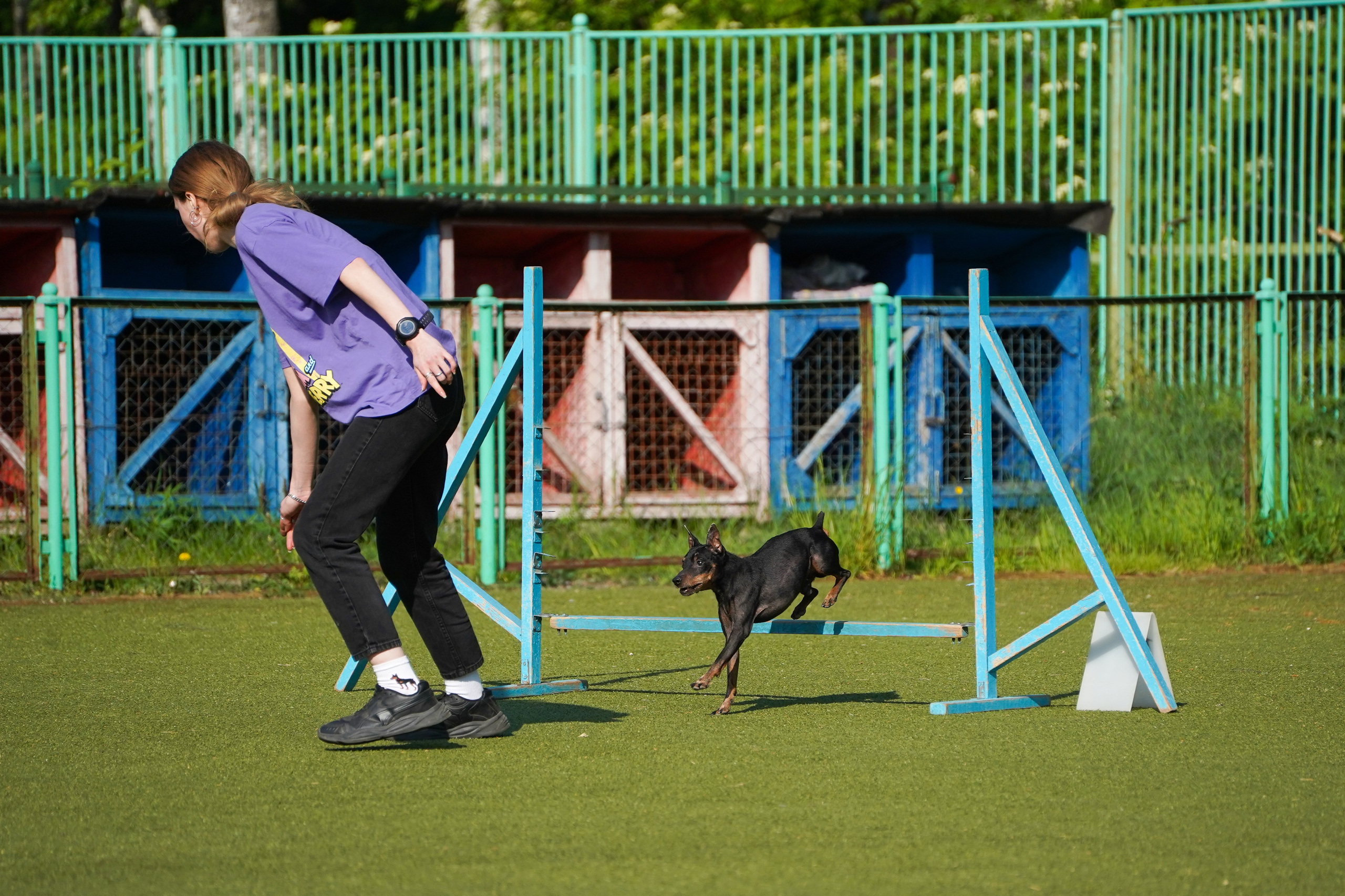 Аджилити 25.05.24, Санкт-Петербург. Фотограф-анималист Анастасия Большакова