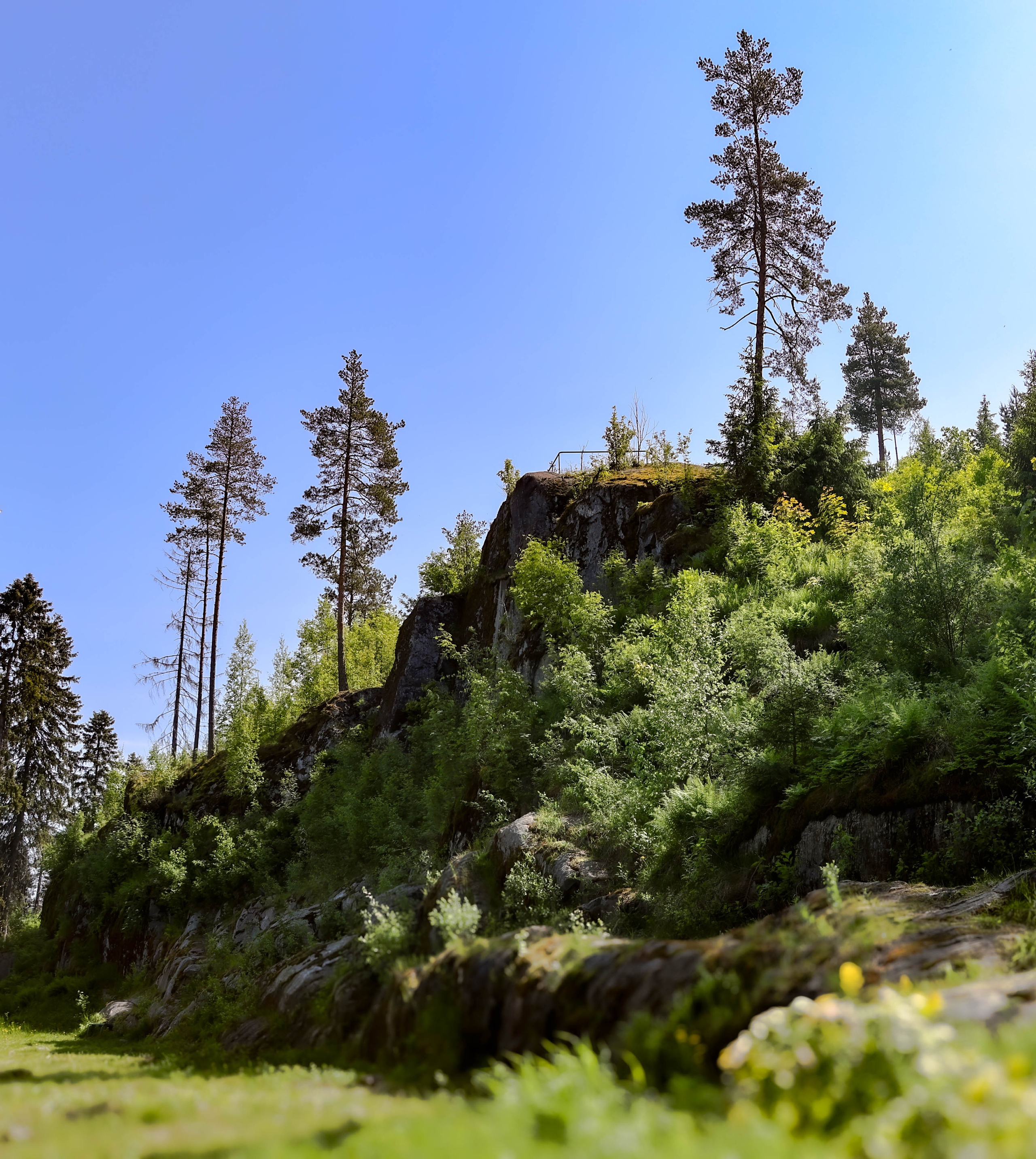 ПЛАНЕТА ЗЕМЛЯ (пейзаж). АЛЕКСЕЙ КОЛМАКОВ. Фотограф. Москва и Московская область