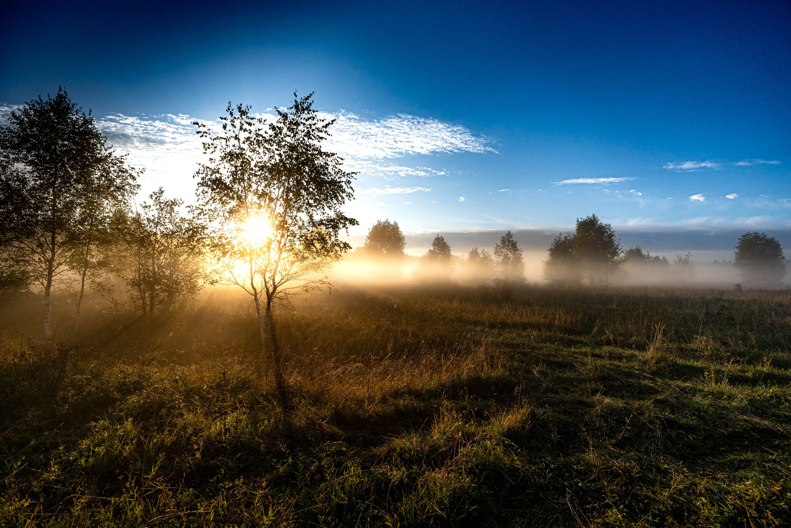 АЛЕКСЕЙ КОЛМАКОВ. Фотограф. Москва и Московская область