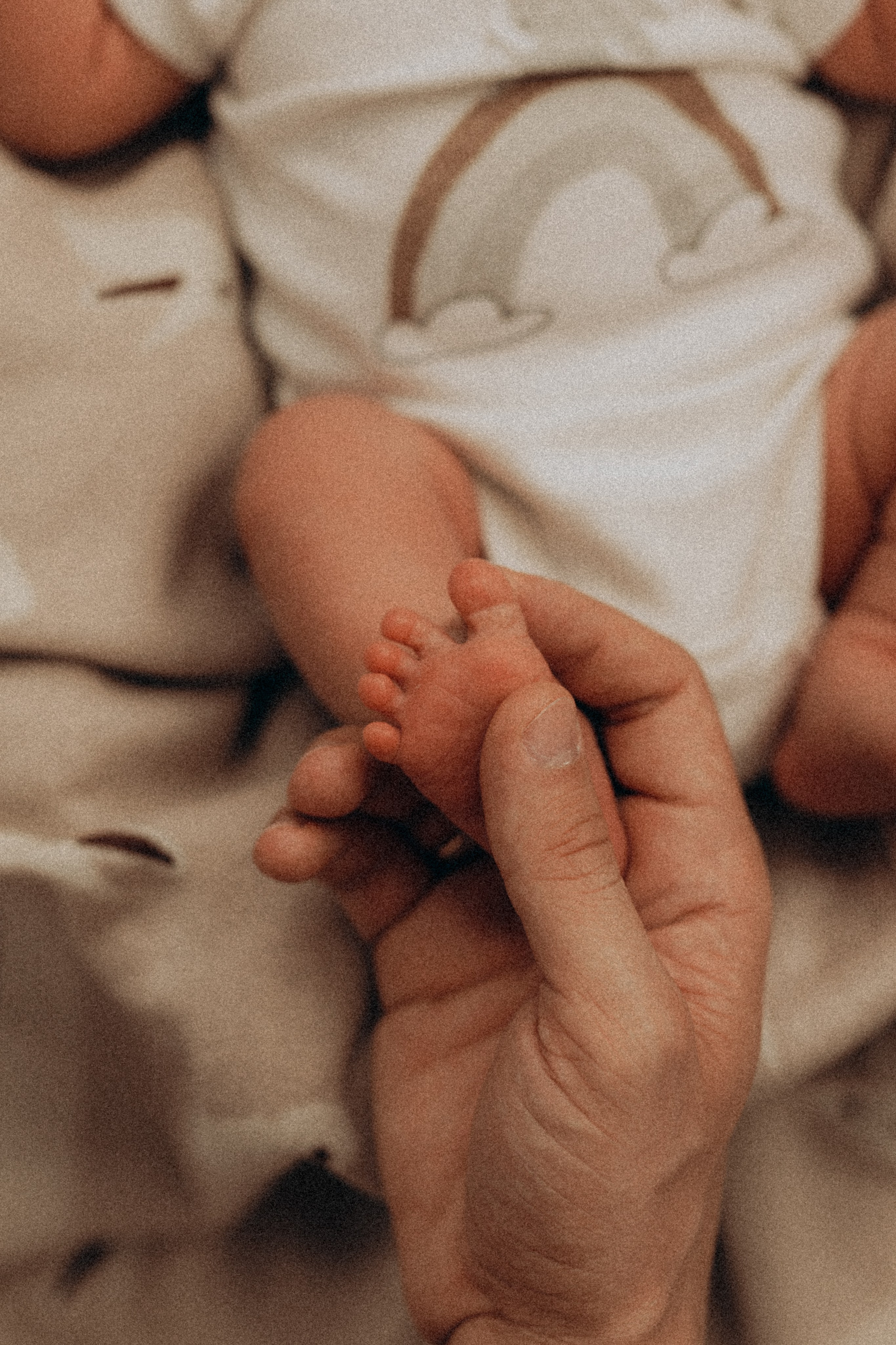 LifeStyle. Фотограф новорожденных в Ярославле Ольга Зимина