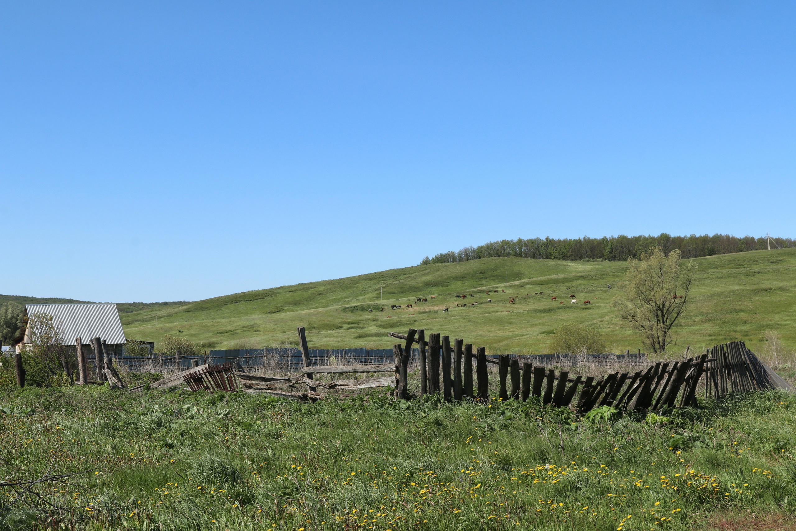 Велопоход Уфа — Мелеуз. Май 2024. Путешественник-фотограф из Санкт-Петербурга Татьяна Свистулина