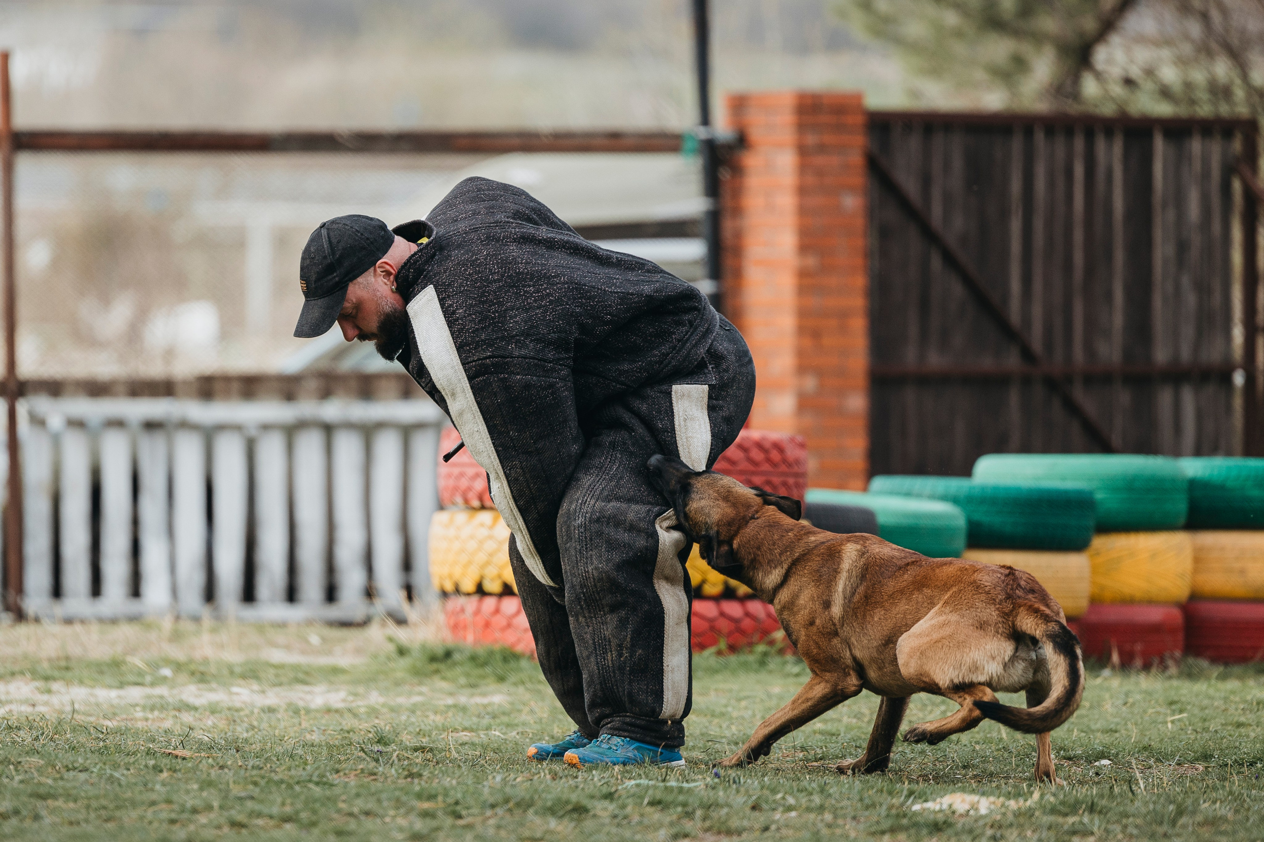 Геленджик Мондьоринг. Фотограф-анималист Анна Маринич