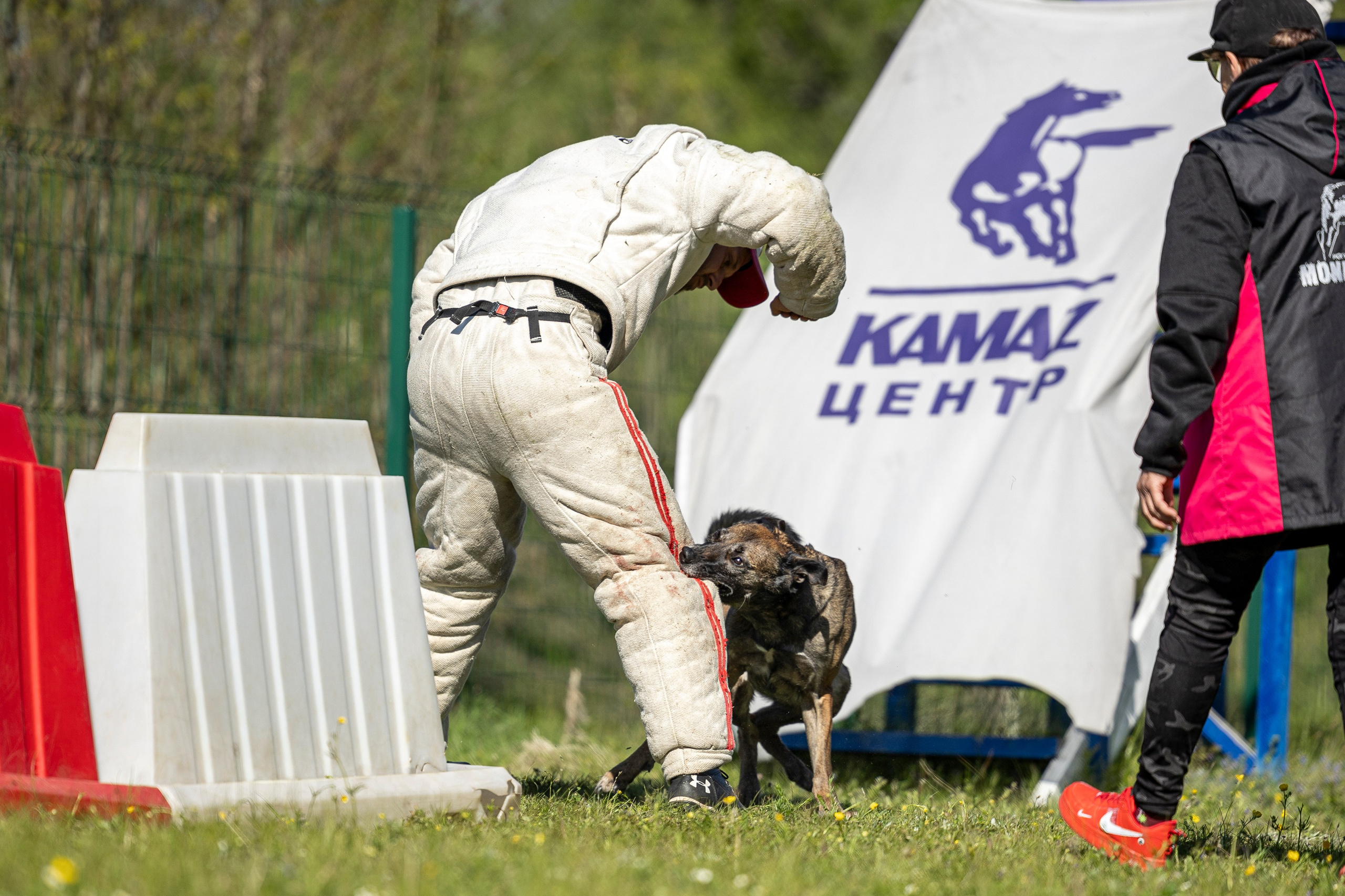 Испытания по мондьорингу в Нижнем Новгороде. Фотограф-анималист Анна Маринич