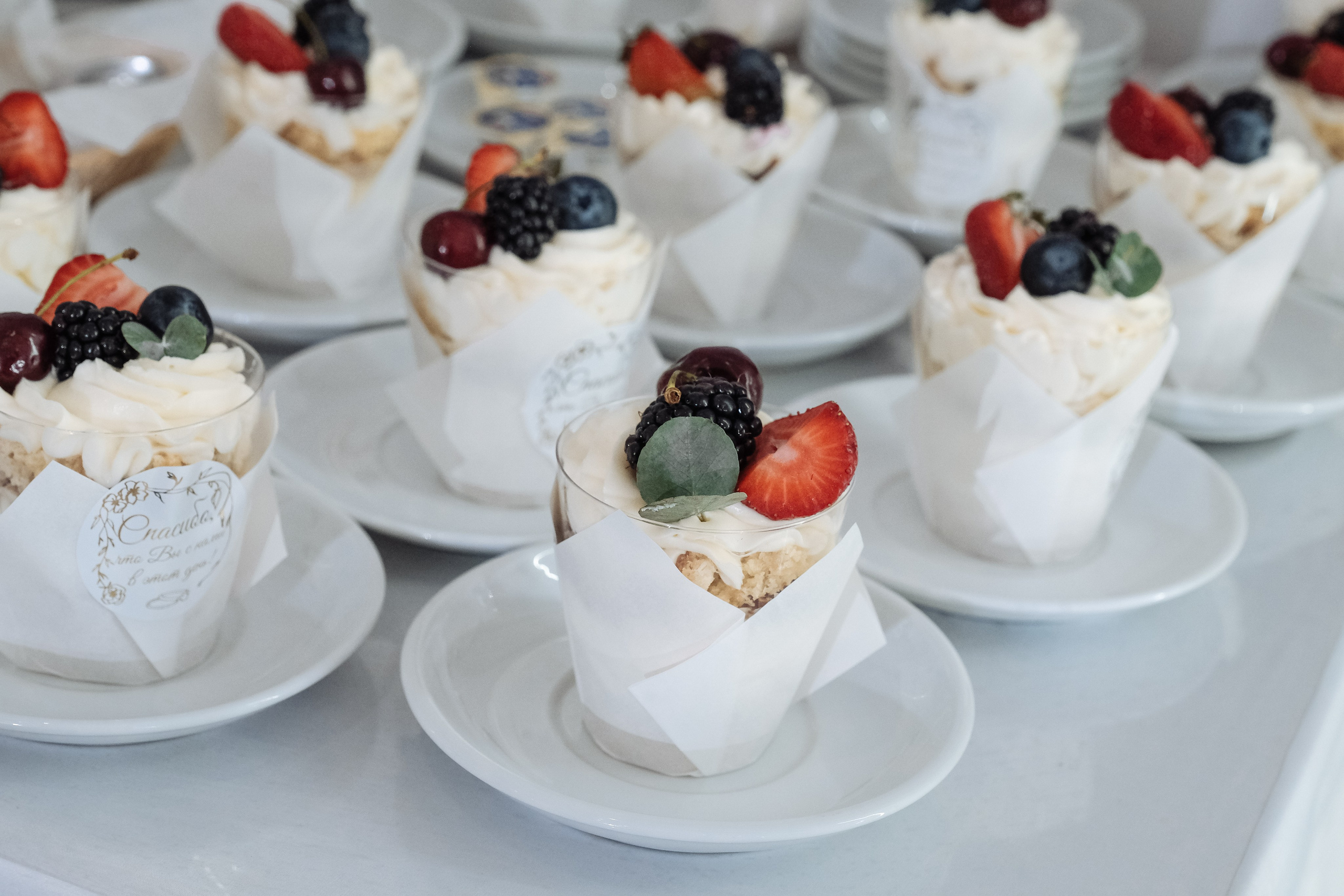 Сергей и Евгения_свадебная фотосессия в Версале. Свадебный фотограф в Челябинске Сырчикова Наталья