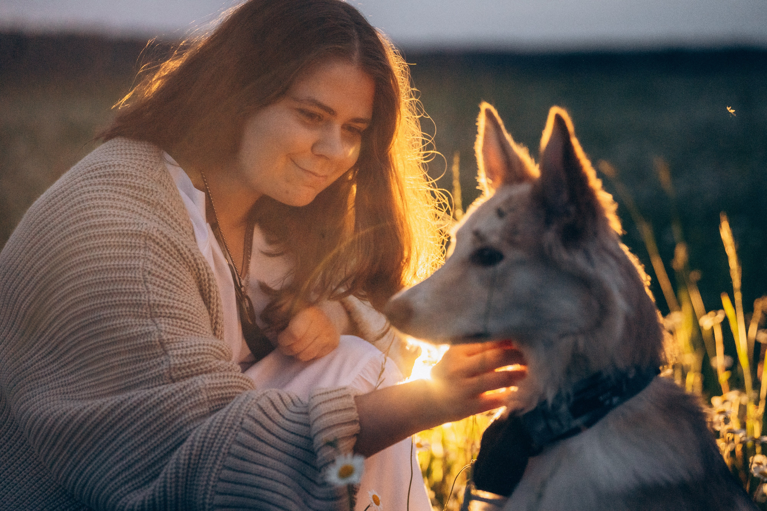 Соня и Кора. Фотограф анималист в Москве и Санкт-Петербурге Свиридова Анна