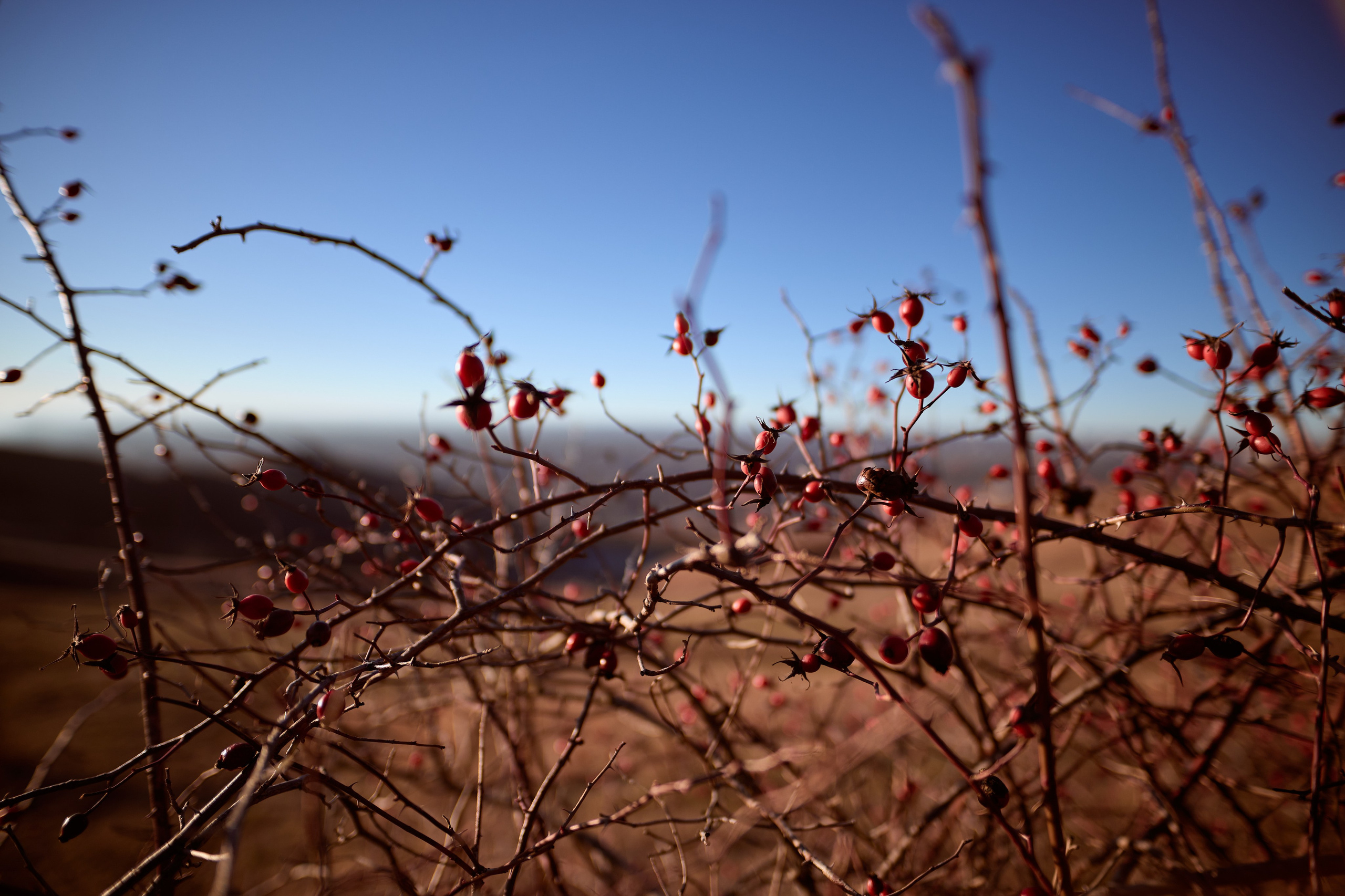 Параплан, Армавир. Репортажный фотограф в Краснодаре, Иван Ванюшенков