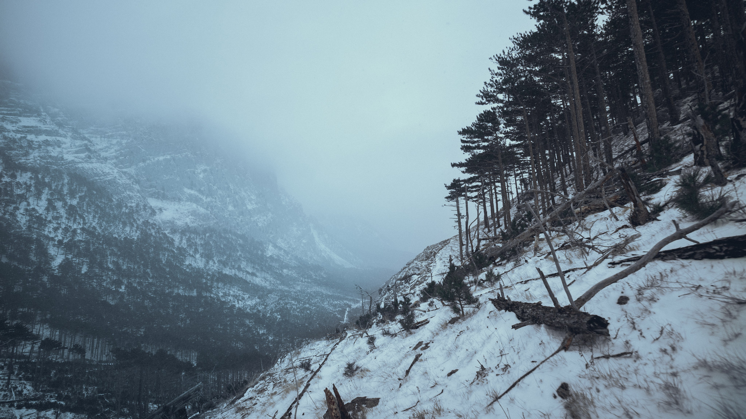 Nature. Артем Корнев Фотограф