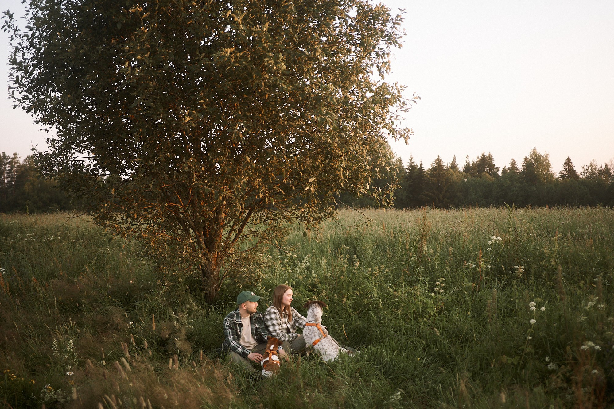 Даша, Антон, Фиби и Шейли. Фотограф анималист Москва Дарья
